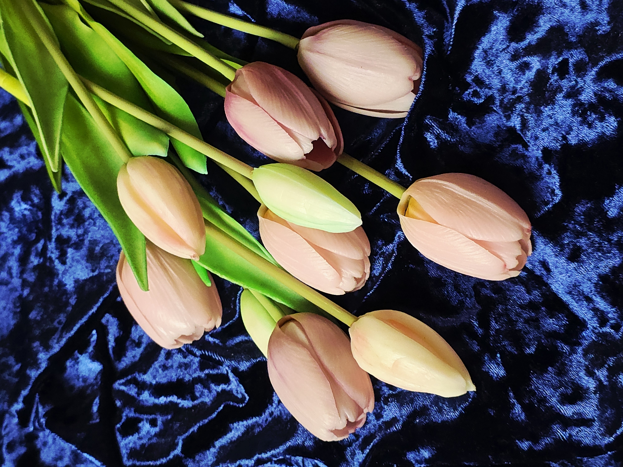 A bunch of closed pink and white tulips are arranged on a draped piece of blue velvet fabric. The tulips have green stems and leaves. The background is out of focus. The location is unknown.