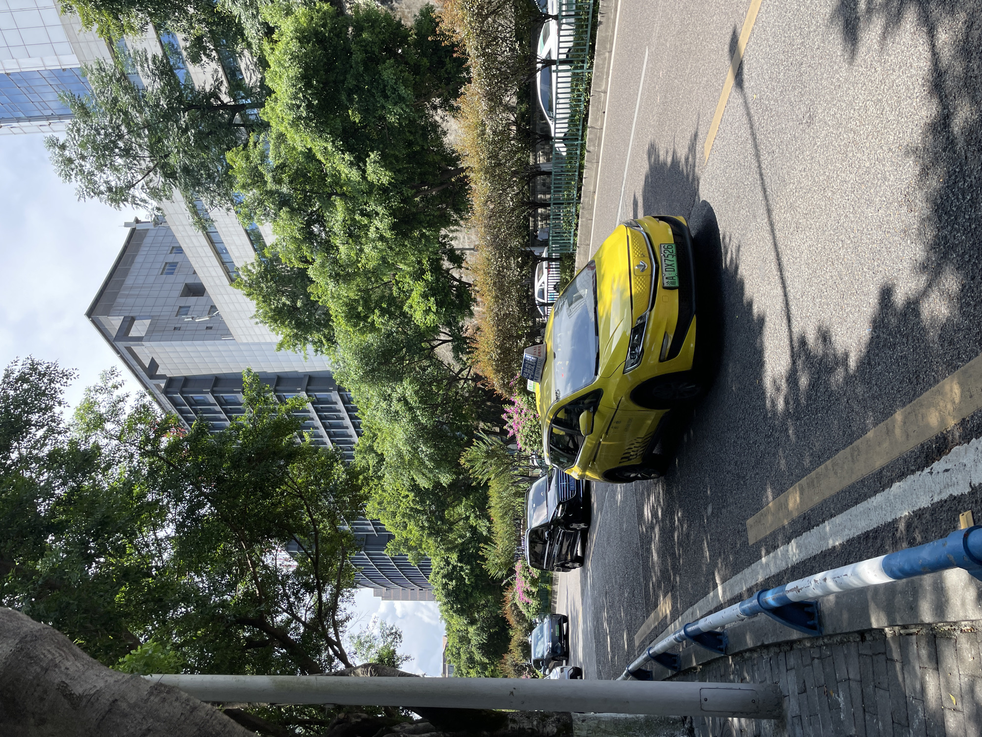 The image depicts a sunny street scene in Yuzhong District, China, with several vehicles on the road. A bright yellow taxi with a license plate reading "A DX7526" is prominently featured in the foreground, angled towards the viewer. To its left, a black minivan is driving away, and further down the road, a dark blue sedan is also moving away. In the background, modern buildings with glass windows are visible, interspersed with lush green trees and flowering shrubs. The street is paved, with a sidewalk on the left marked by a blue and white barrier. Tree shadows are cast across the road and sidewalk. No people are clearly visible interacting with the vehicles or the environment.