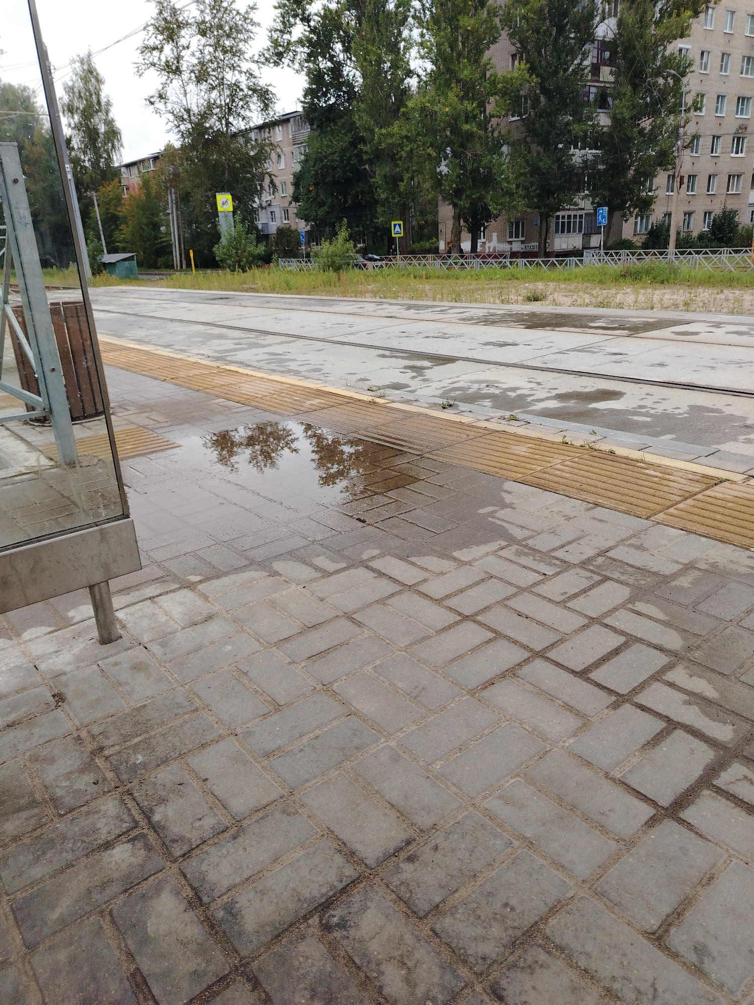The image depicts a street scene in Yaroslavl, Russia, likely a public transportation stop. The foreground is dominated by a wet, grey brick-paved sidewalk, with some of the bricks laid in a herringbone pattern. A large puddle reflects trees and the sky. Adjacent to the sidewalk is a section of tactile paving with raised yellow ridges, indicating a potential hazard or transition area. Beyond this, a tram track runs across a grey concrete surface, which is also wet in places. A small wooden bench is partially visible on the left, attached to a metal pole and glass structure. In the background, a residential building with multiple floors and numerous windows stands behind a line of green trees. Several road signs are visible, including a yellow diamond shape with a number "40" inside, and a blue sign with a walking figure. A small, greenish shed is situated near the tram tracks. The overall impression is of an overcast day with recent rainfall, creating a damp and somewhat subdued urban atmosphere.