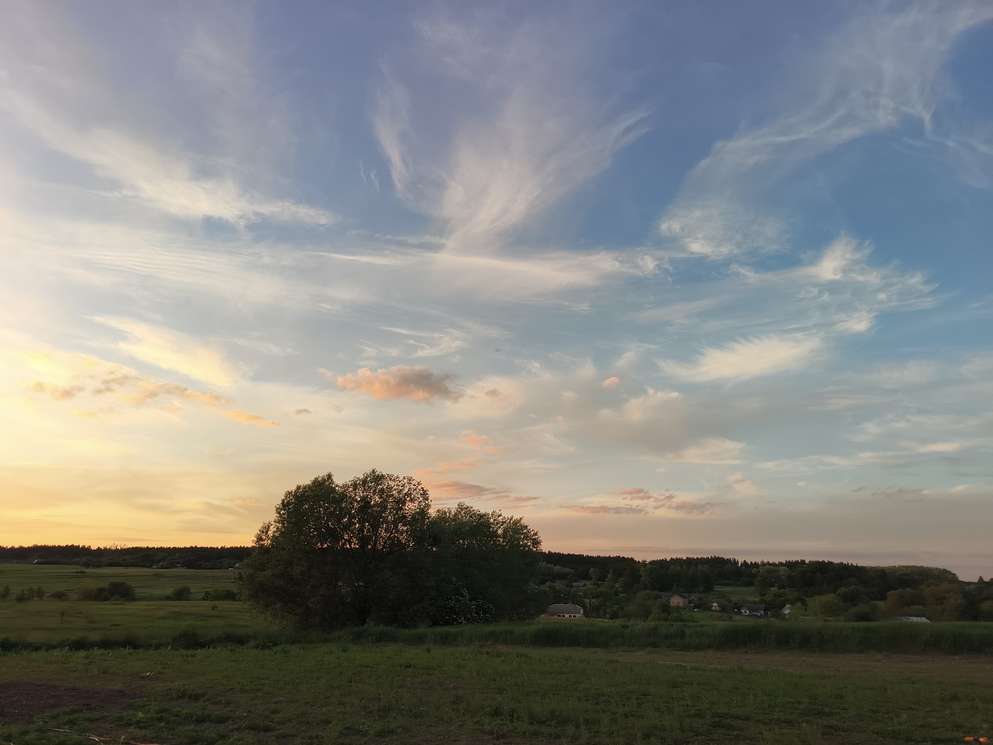 The image shows a rural landscape at sunset, likely taken in or near Vyshevychi, Ukraine. A large, full tree dominates the midground, its foliage dark against the horizon. Beyond the tree, a rolling landscape features a mix of fields, wooded areas, and possibly small buildings or houses nestled among the trees. The sky is the most prominent feature, filled with a variety of clouds. Near the horizon, the sky is a warm golden color, blending into lighter shades of pink and orange. Higher up, the sky transitions to a light blue with wispy, cirrus-like clouds that spread across the frame. The foreground is a grassy field, suggesting an open space or pasture. The lighting indicates it is near dusk or dawn. There is no visible human activity.