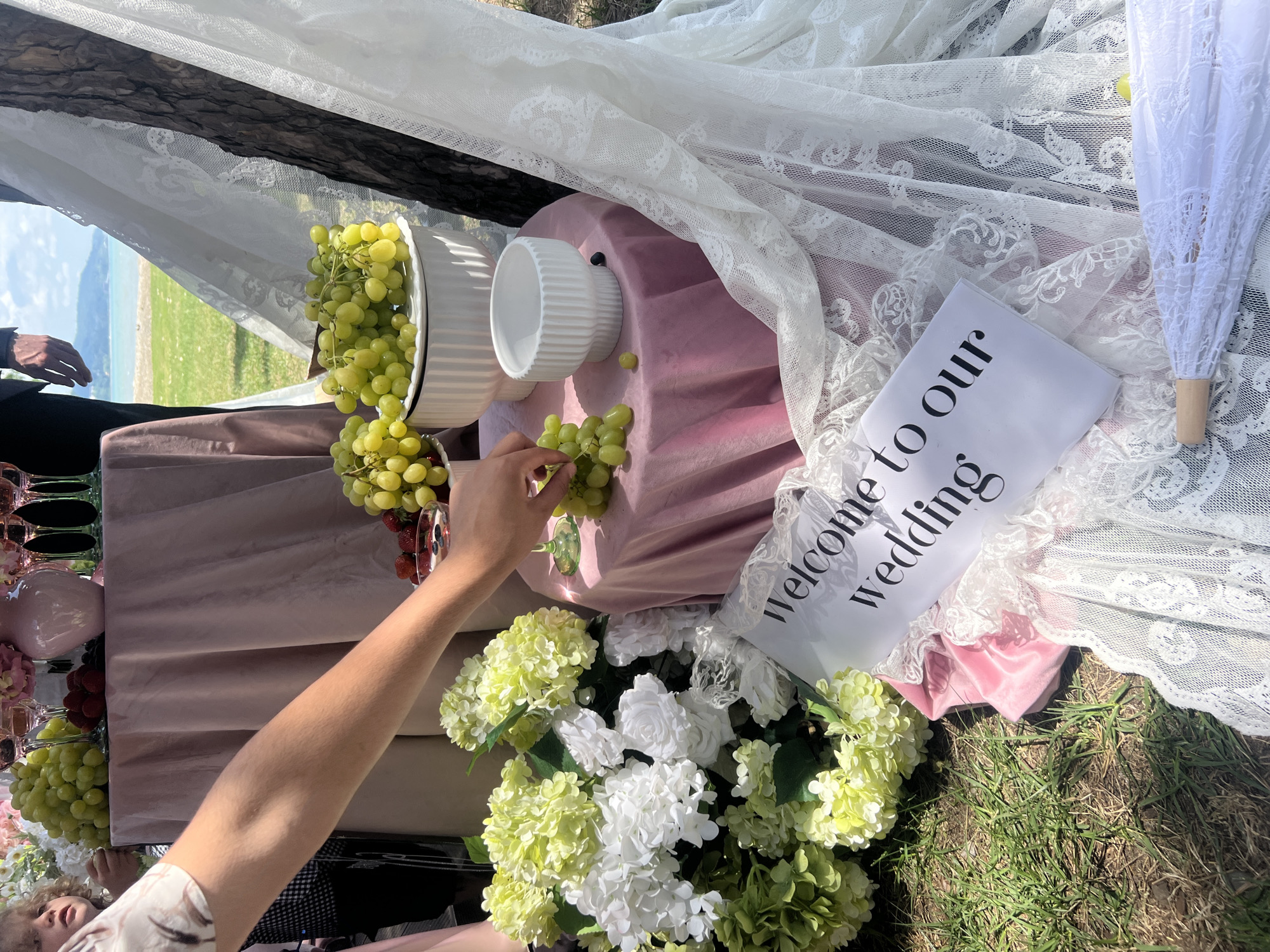 In an outdoor setting, possibly a beach or park with a body of water and trees in the background, a table is set for a wedding or special event. The table is draped with a pink tablecloth. A vase of light green and white flowers sits on a smaller pink table in the foreground. A hand reaches for a bunch of green grapes from a white bowl on the table. Other fruit, including strawberries and blueberries, are visible in a bowl. A white lace fabric is draped over the scene, and a sign that reads "welcome to our wedding" is placed on the ground next to a white umbrella. A person wearing a checkered shirt and a person in a suit can be seen in the background. The overall ambiance is festive and celebratory.