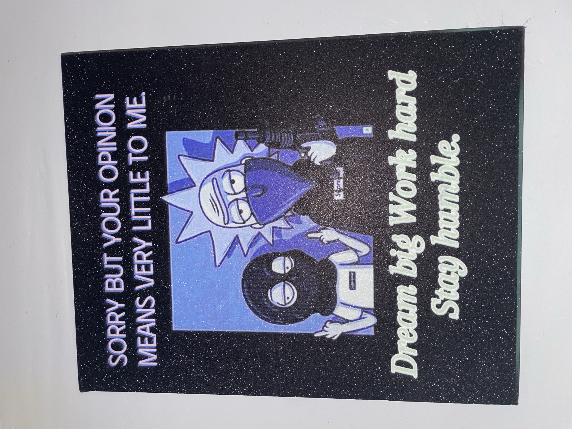 The image shows a framed artwork with a black, glittery background. The artwork features cartoon characters, text, and a firearm. The text at the top reads "SORRY BUT YOUR OPINION MEANS VERY LITTLE TO ME." Below this, a blue square contains two animated figures resembling characters from the TV show Rick and Morty. One figure on the left wears a black balaclava and a white t-shirt with a "Supreme" logo. Both figures are depicted giving the middle finger. The figure on the right wears a blue bandana over its face and a black hoodie, holding what appears to be a rifle. Below the cartoon, more text in a light green, cursive font reads "Dream big Work hard Stay humble." The artwork is displayed on a white surface, possibly a wall. There is no discernible information in the image to indicate a specific location within Jos, Nigeria.