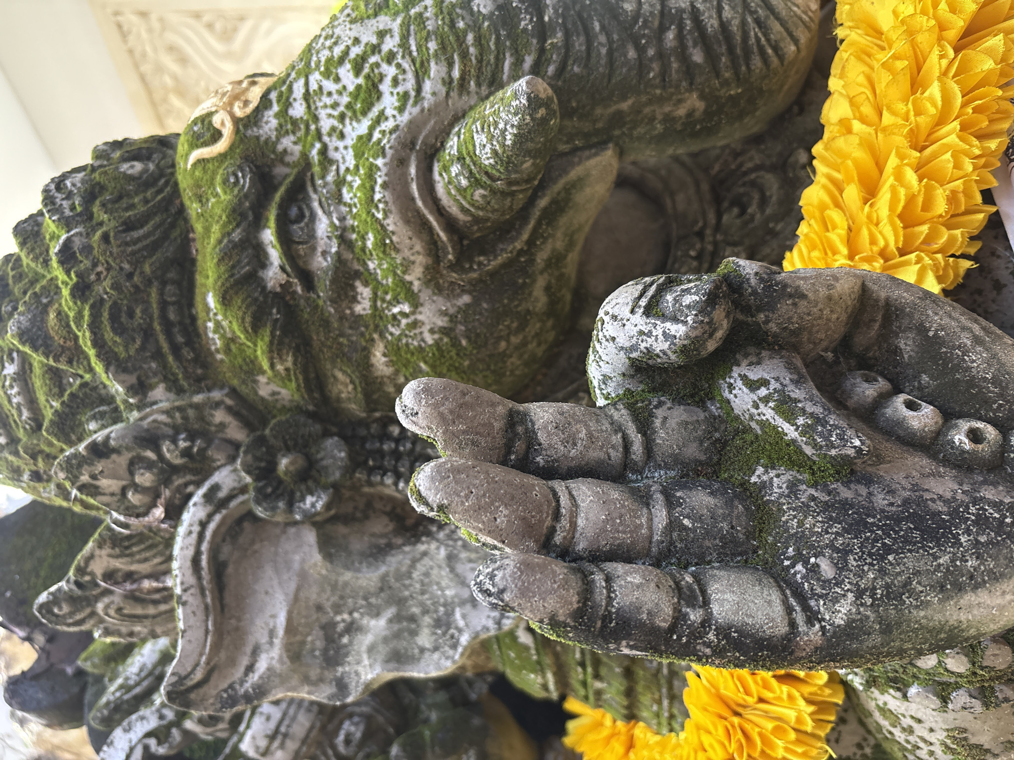 A close-up, low-angle shot shows a weathered stone statue of Ganesha, a Hindu deity with an elephant's head. The statue is partially covered in green moss, suggesting it is outdoors and exposed to the elements. In the foreground, a stone hand is raised with its thumb and index finger touching, forming a circle, a gesture often associated with meditation or wisdom. Behind the hand, a string of vibrant yellow marigold flowers is draped around the statue's neck, adding a splash of color to the predominantly gray stone and green moss. The background is blurred, but appears to be an outdoor setting with hints of architectural elements and possibly other statues. The overall impression is one of ancient spirituality and natural beauty.