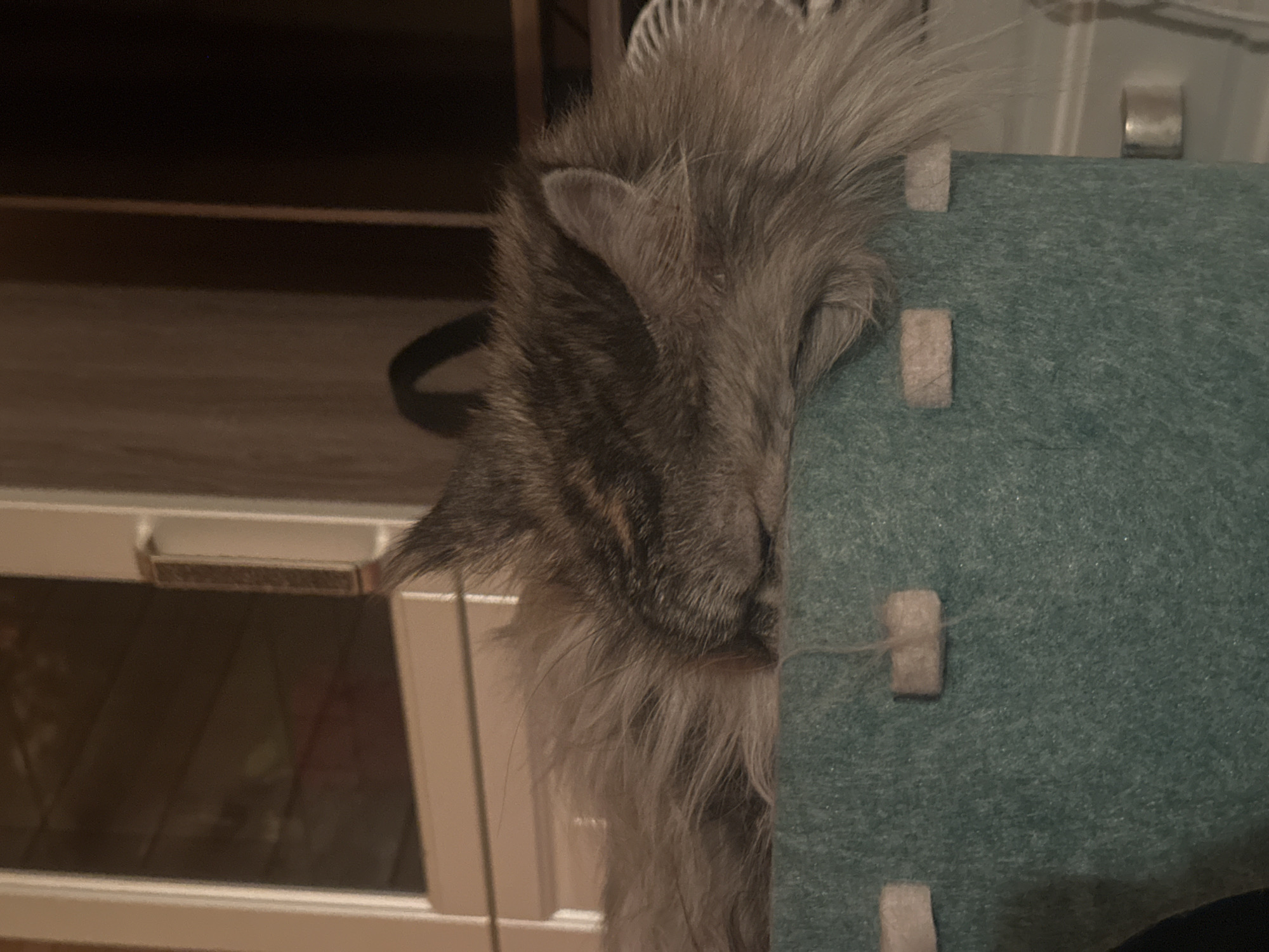 A fluffy, grey and brown striped cat sleeps soundly, its head resting on the rim of a teal colored fabric bin. The bin has four square white accents, two of which are visible on the left side of the image. The cat's fur is long and appears soft. The background is dimly lit and appears to be an indoor setting, possibly a room in a house in Буняково, Russia, with a partially visible window and some cabinetry. There are no people visible in the image.
