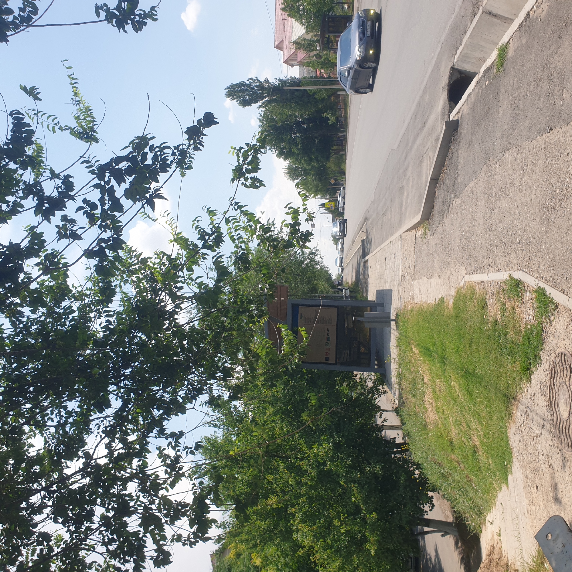 The image depicts a street scene in Shymkent, Kazakhstan, on a bright, partly cloudy day. In the foreground, a bus stop shelter with a blue and grey frame and advertising panels stands on a paved sidewalk. The shelter is partially obscured by the branches and foliage of a large, leafy tree on the left. Beyond the bus stop, a paved road stretches into the distance, with several cars driving on it. The road is flanked by a grassy verge and trees lining the right side. Buildings with red roofs are visible in the background on the right. The scene is calm, with no people actively engaged in the frame. The focus is on the urban infrastructure and natural elements of the streetscape.