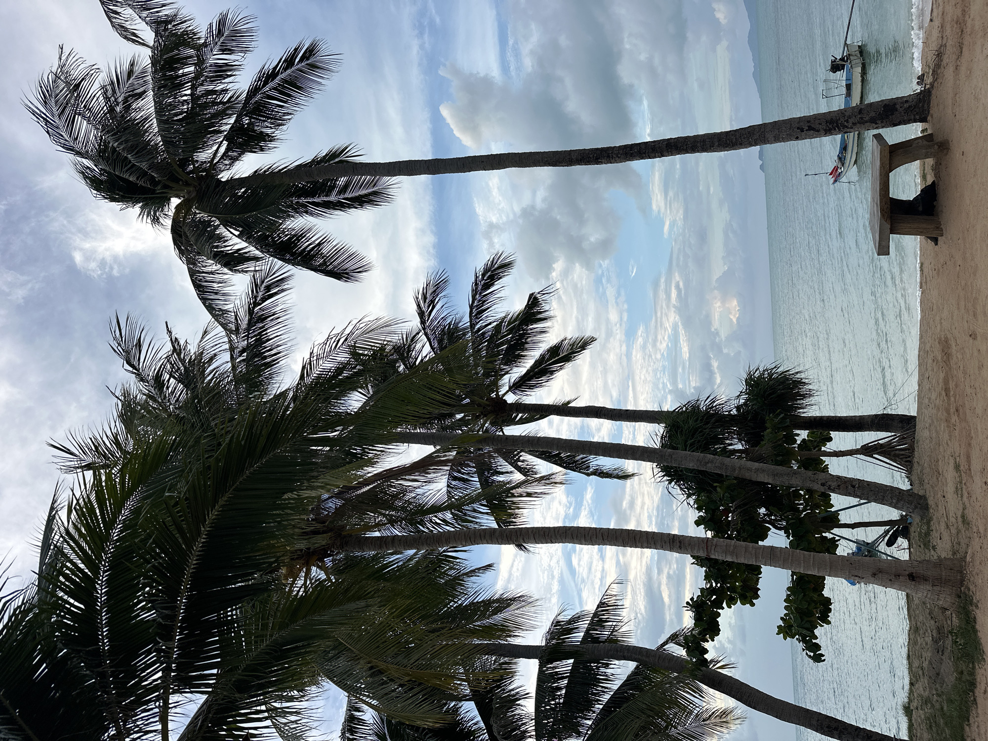 This is a photograph taken in the city of Ko Samui District, Thailand, showing a tranquil beach scene. The foreground is dominated by several tall palm trees with dark green fronds, casting shadows on the sandy beach. To the right, a rough-hewn concrete bench with two legs sits on the sand, facing the sea. In the middle ground, the calm, turquoise ocean stretches out to the horizon, meeting a sky filled with a mix of white clouds and patches of blue. A small, white fishing boat with blue accents and an outboard motor is anchored in the water to the right of the frame. The overall impression is one of peaceful, tropical serenity.