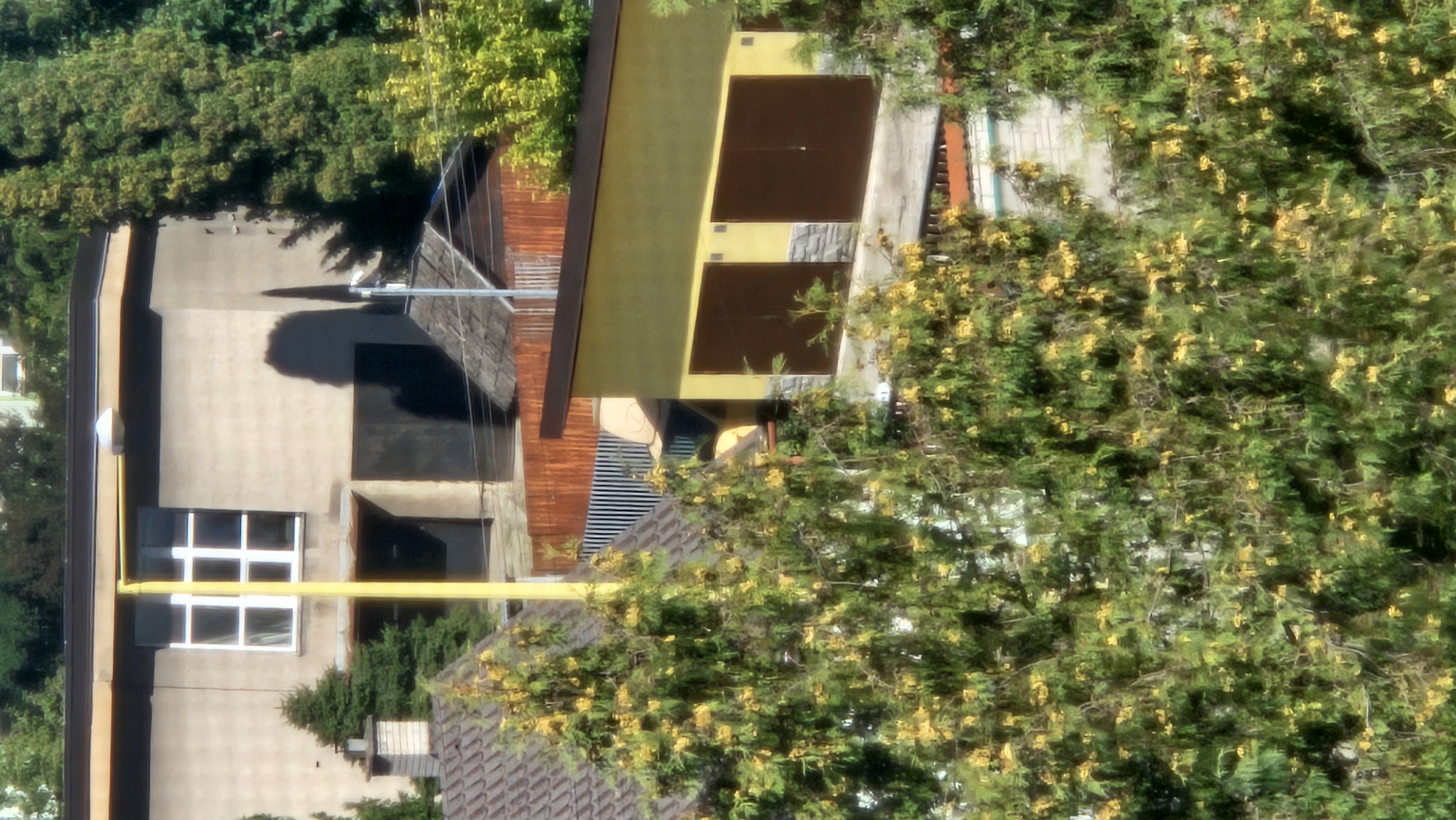 The image captures a residential area in Prešov, Slovakia, likely during daylight hours under clear skies, as indicated by the shadows. In the foreground, dense green foliage, possibly coniferous trees with yellow blossoms, dominates the lower half of the frame, obscuring much of the underlying structures.
Behind the foliage, a two-story building with a light-colored facade and a dark-pitched roof is partially visible. A prominent feature on this building is a large, grid-patterned window with white mullions. Adjacent to this is a dark garage door or entrance. A tall yellow pole with a light fixture at the top stands vertically in front of the building, near the window. To the left of the main building, a smaller structure with a brown roof and a visible chimney stack is present, partially covered by trees.
Further to the right, a smaller, bright yellow building with a dark-pitched roof stands. This structure features two large, dark-colored garage doors, each set against a stone-like base. The yellow building is situated lower than the main building in the background.
In the background, beyond the immediate structures, there are glimpses of other buildings and trees, suggesting a built-up urban or suburban environment. A wooden fence and a corrugated metal fence are also visible, indicating property boundaries. The overall impression is a mix of residential and possibly utilitarian structures intertwined with dense vegetation. There are no visible people in the image.