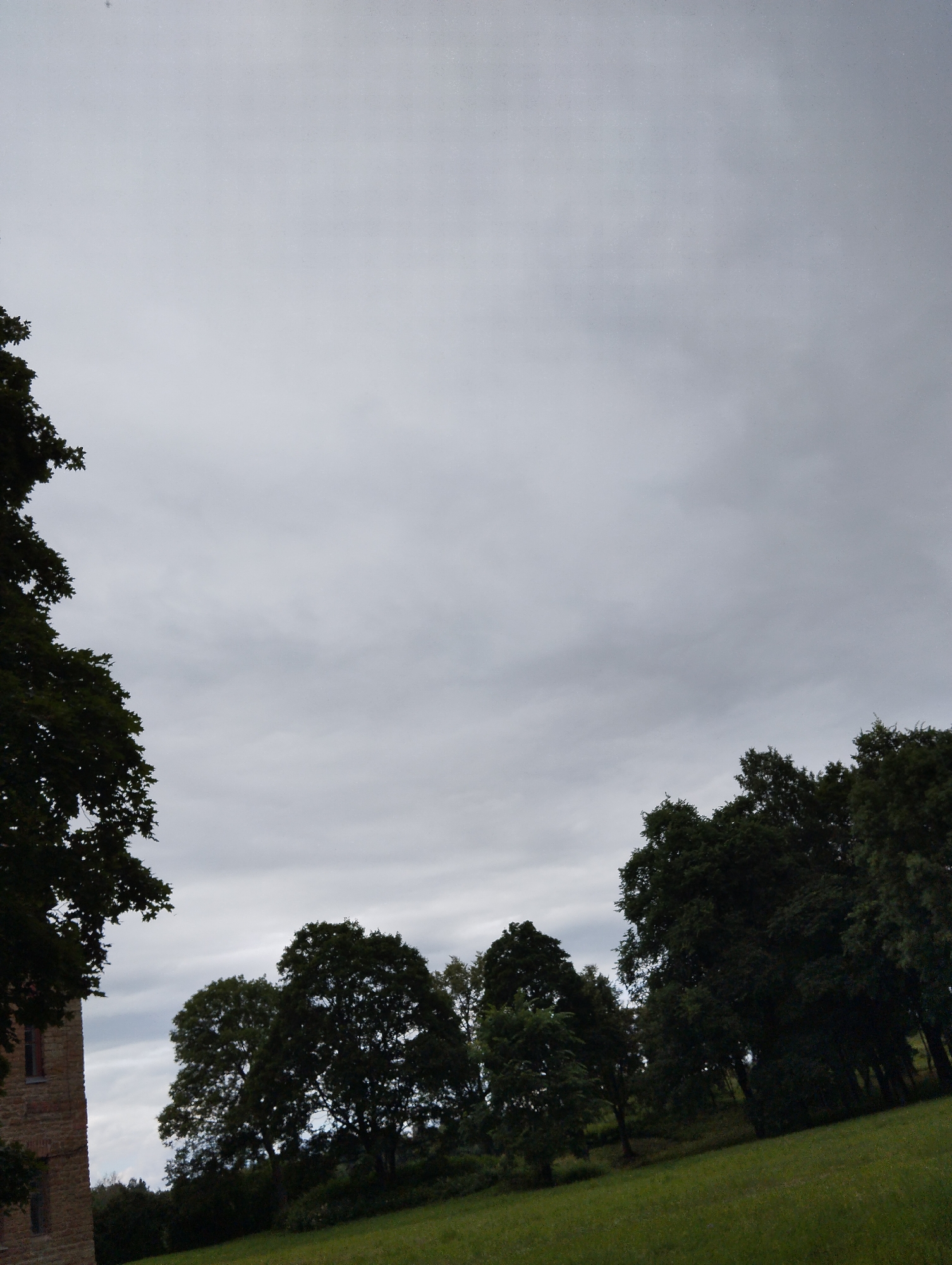 This is a landscape photograph taken outdoors. The image features a section of a brick building on the left side, with its upper portion obscured by dark green foliage from a large tree. The building appears to have at least one window visible. The majority of the frame is filled with a cloudy sky, with a light gray overcast that suggests a diffused light source.
In the middle ground and extending to the right, a dense line of dark green trees creates a natural border against the sky. The trees vary in size and shape, with some appearing much taller and fuller than others. A grassy hill slopes upwards from the foreground towards the line of trees. The grass in the foreground is a vibrant green, indicating it is likely daytime and the grass is healthy.
The overall scene is tranquil and natural. The cloudy sky suggests it might be an overcast day, possibly cooler and with soft lighting. There are no people or animals visible in the photograph. No text is present in the image. The location context provided is Kingisepp, Russia, which could imply the architectural style of the building or the type of vegetation. The photograph captures a quiet, bucolic setting, possibly a park or the grounds of an estate.