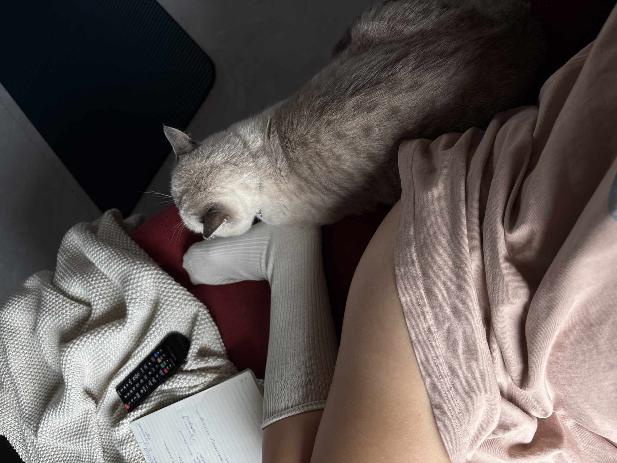 A light gray cat sits on a red surface next to a person's legs, which are covered by a light pink garment and a light gray sock. The person's left leg is visible from the knee down, while the right leg is mostly obscured by the cat. A white knitted blanket is draped over a red surface behind the cat. A black remote control rests on the blanket. To the left of the blanket and remote is an open notebook with handwritten text in a dark color. A dark blue yoga mat is visible in the background, to the right of the cat. The scene appears to be indoors. There is no information about the location in the city of Choeng Thale, Thailand.