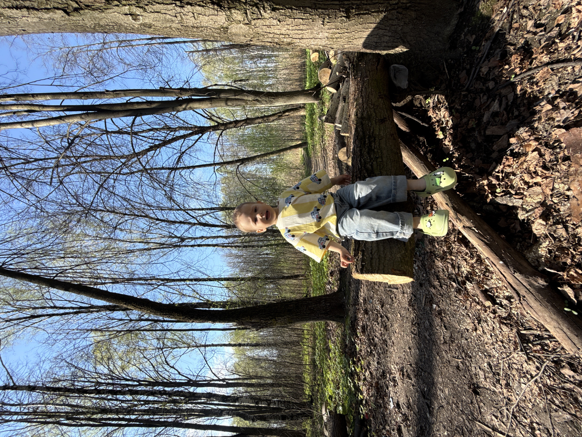 A child wearing a yellow, short-sleeved shirt with a cartoon print and light-wash denim shorts sits on a fallen tree trunk in a forest. The child wears green clogs on their feet. The ground is covered in fallen leaves and twigs. A forest of tall, bare trees stretches into the distance under a blue sky. The location is Rusanovo, Russia.