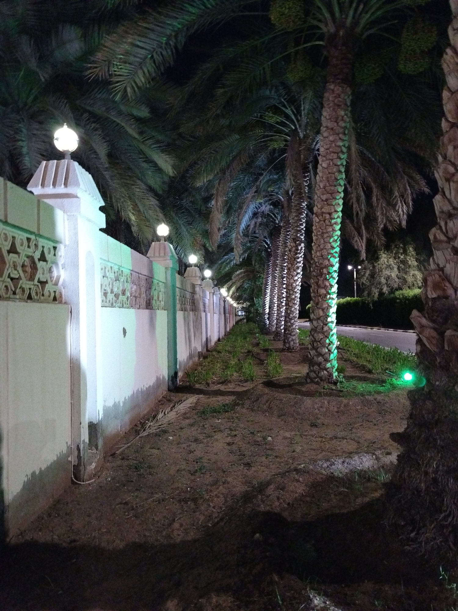 The image depicts a nighttime scene along a street in Al Mas'oudi, United Arab Emirates. A white wall with decorative elements and spherical light fixtures runs along the left side. A row of palm trees is planted along the right side, some with green lighting at their base. A paved road is visible beyond the trees. The ground near the wall is dirt and sparse vegetation. The scene appears calm and quiet.