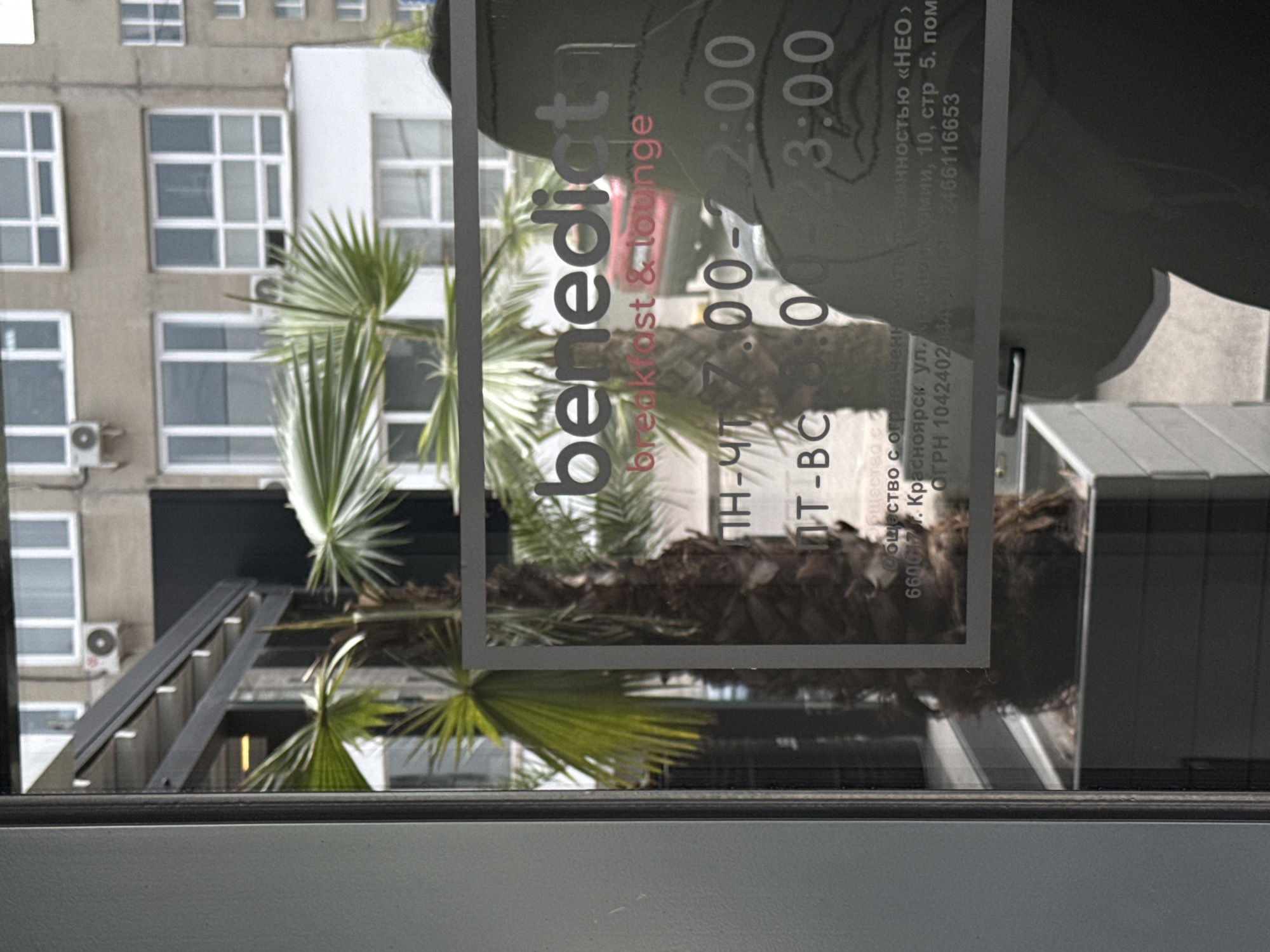 A sign for the "Benedict" breakfast and lounge is affixed to the window of a building in Krasnoyarsk, Russia. The sign states the lounge's hours as 7:00-22:00 from Monday to Thursday and 10:00-23:00 from Friday to Sunday. The sign lists the address as Kamen Armii Street, 10, building 5, room 10, Krasnoyarsk, Russia, zip code 660017. Reflected in the window is the image of a multi-story building with multiple windows and a palm tree with stairs leading up to the building.