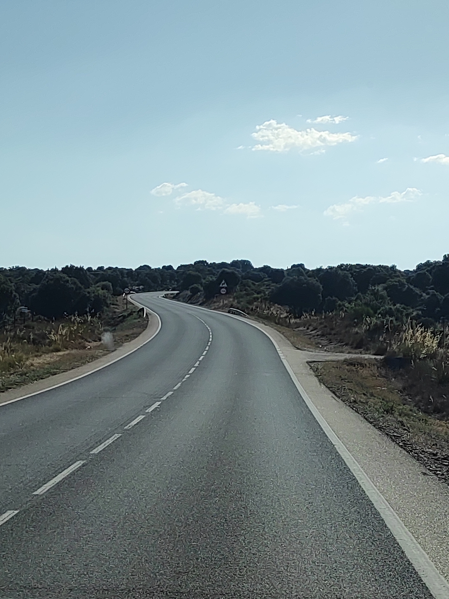 The image depicts a winding asphalt road cutting through a landscape of low, dense vegetation under a clear blue sky with scattered clouds. The road, marked with white dashed lines, curves to the left and then to the right, suggesting it leads through a rural or semi-rural area. On either side of the road, there are trees and shrubs, with some taller grasses and dry vegetation along the roadside. Two road signs are visible on the right side of the road, one circular with a red border and a horizontal line inside, and another triangular with a red border and a symbol inside, possibly indicating a hazard or restriction. The scene appears to be an outdoor, daytime setting. Based on visual cues and location context, this scene is located in or near Villaseco de los Gamitos, Spain, characterized by its natural terrain and rural roads.