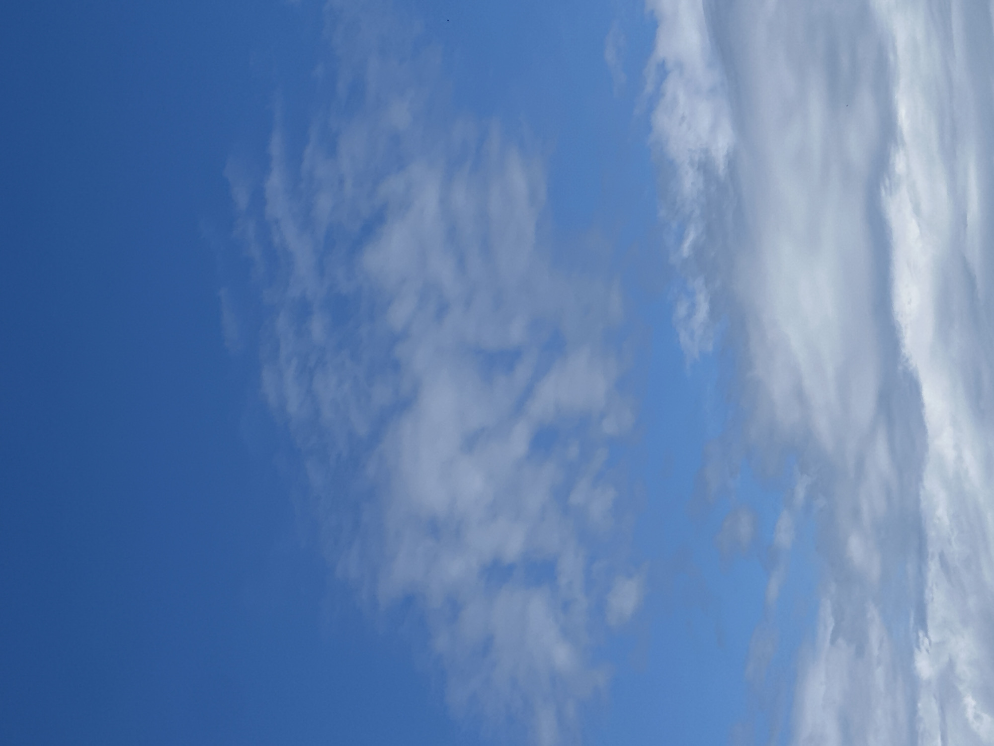The image is an outdoor, eye-level, vertical, full shot of a blue sky with scattered clouds. The sky takes up the majority of the frame, with a lighter blue hue at the bottom that transitions to a deeper blue at the top. The clouds are predominantly white and wispy, with some areas appearing thicker and more textured, particularly towards the bottom of the frame. There are no discernible landmarks, people, or objects in the image. The scene appears to be a clear day with dynamic cloud formations.