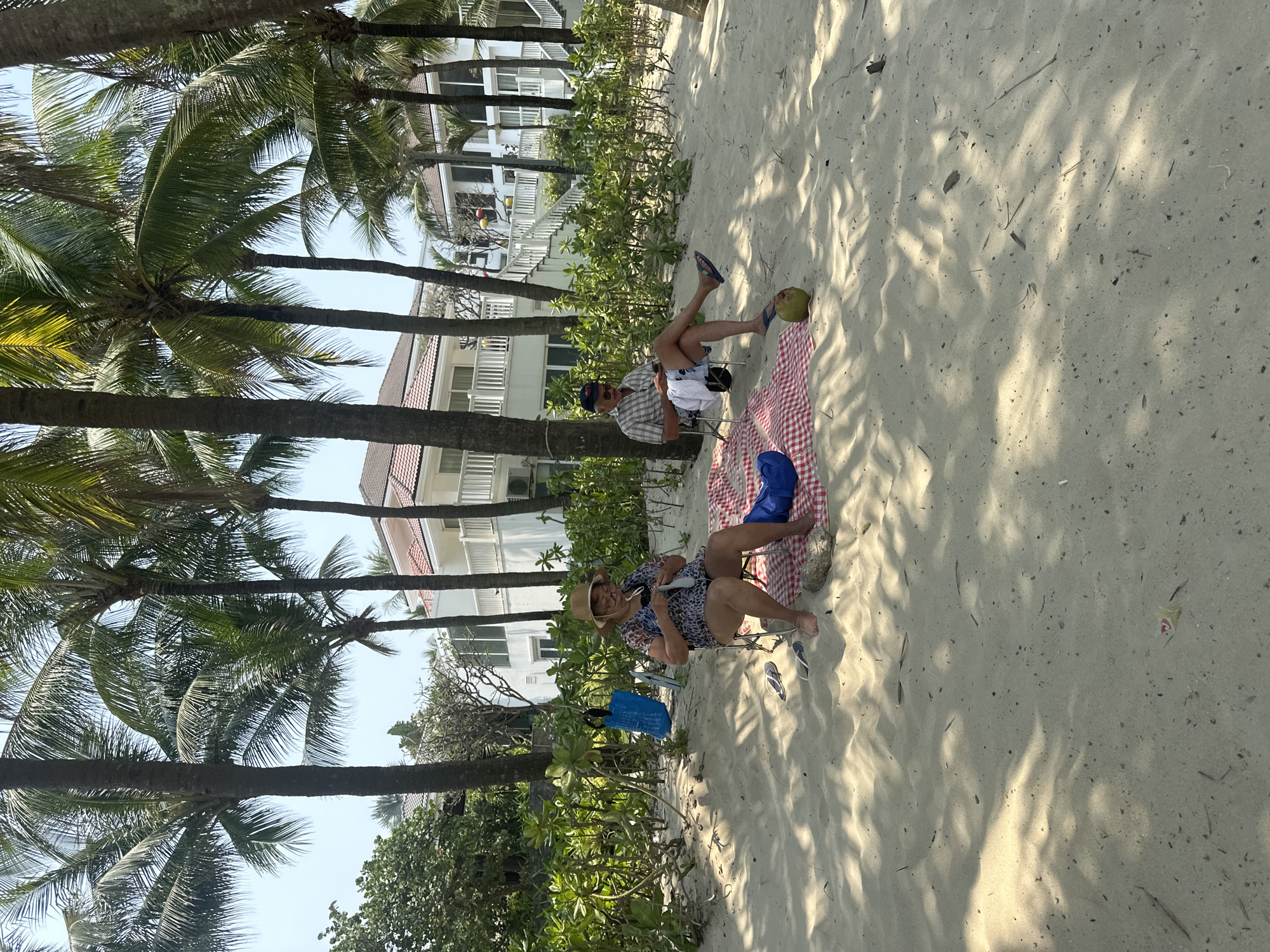 Two individuals relax on a sandy beach in Đà Nẵng, Vietnam. Palm trees line the left side of the frame, with a multi-story building behind the trees. One person sits on a beach chair with a blue bag hanging nearby, while the other sits on the edge of a red and white checkered blanket, next to a coconut. Both are casually dressed. The environment is sunny and bright.