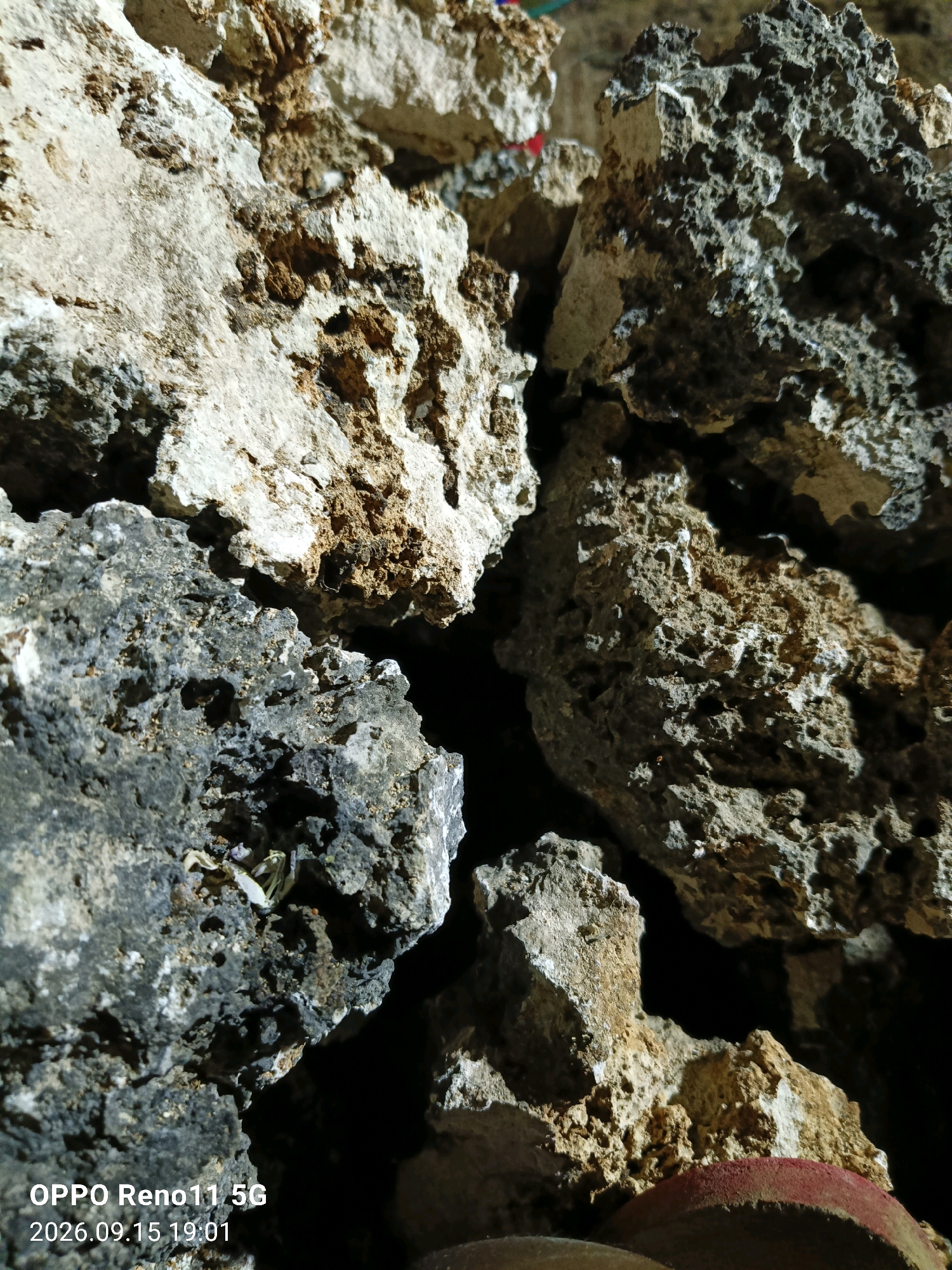 The image is a close-up of several porous, irregular-shaped rocks piled together. The rocks vary in color, with some appearing light tan and rough, while others are darker gray and have a more jagged, porous texture. The lighting creates strong shadows, highlighting the uneven surfaces and cavities within the rocks. In the bottom left corner, a watermark reads "OPPO Reno11 5G" and "2026.09.15 19:01". There are no people or identifiable actions visible. The scene appears to be a natural or collected pile of rocks, possibly used for landscaping or construction. The location is stated to be Otan, Indonesia, though there are no visual cues in the image to confirm this specific location.