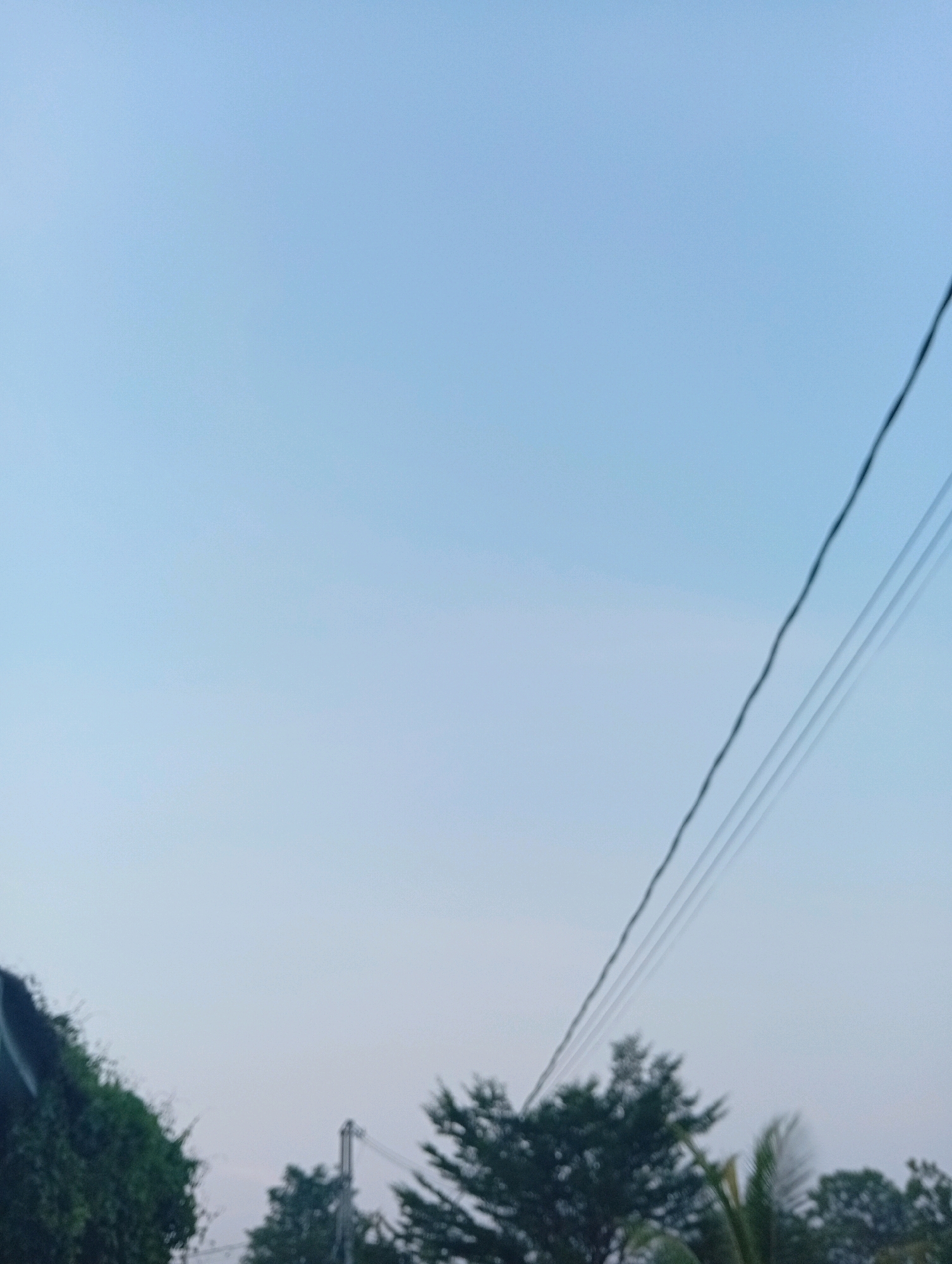 The image depicts a portion of the sky with telephone wires stretching across it. In the lower part of the frame, trees and foliage are visible, suggesting an outdoor setting. The lighting indicates either dawn or dusk, with the sky being a pale blue. The scene is devoid of any human presence or discernable activity. The image does not provide any specific landmarks or details that would allow for the pinpointing of its location within Kualu, Indonesia.