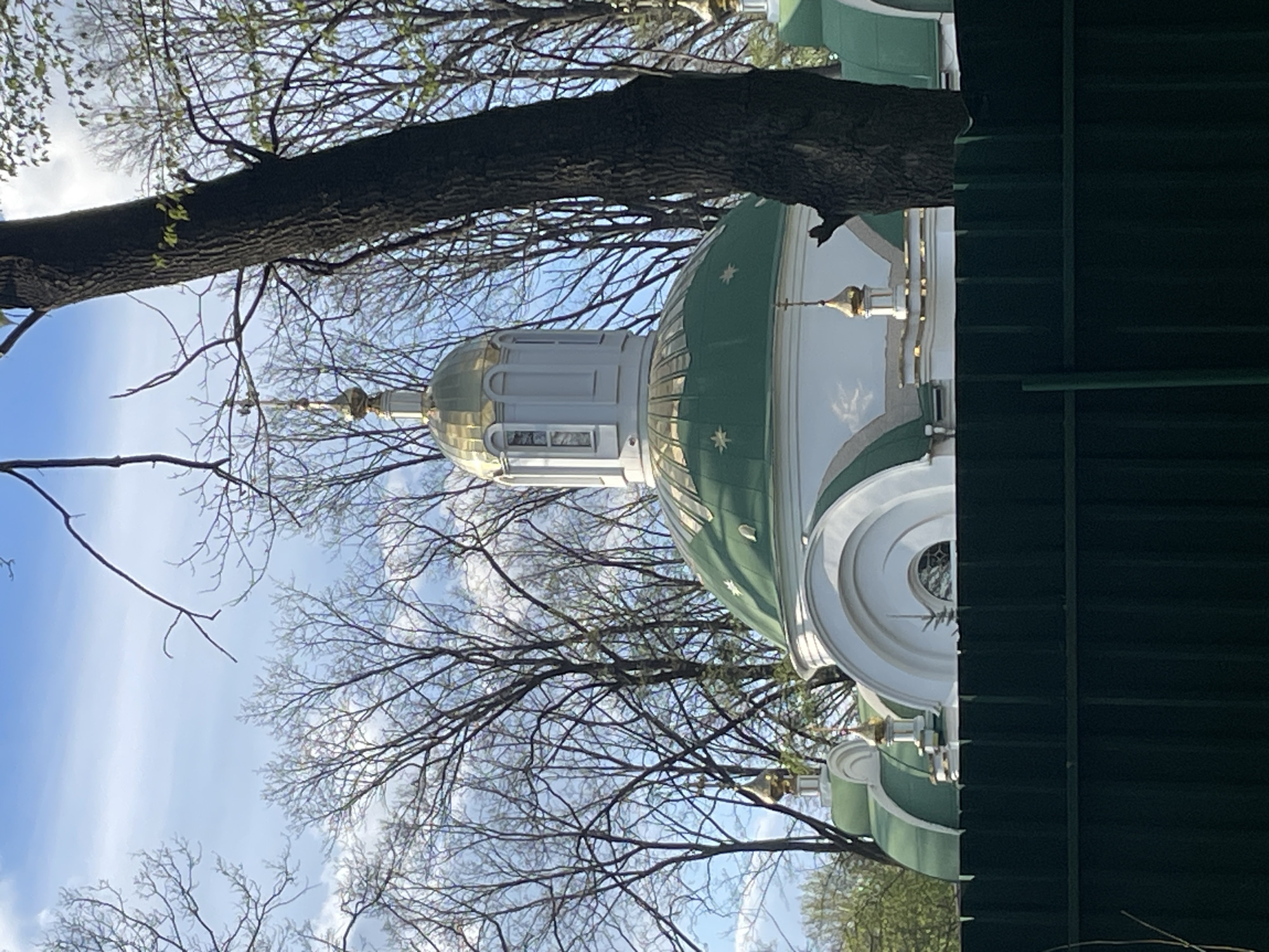 The image shows a portion of the dome and facade of the Holy Transfiguration Cathedral in Vinnytsia, Ukraine. The dome is green and white with gold accents, and there are tree branches visible in the foreground and background. A large tree trunk obstructs the top portion of the view. A dark green structure (possibly a fence or building) is visible on the right side of the image. The sky is blue with some clouds.