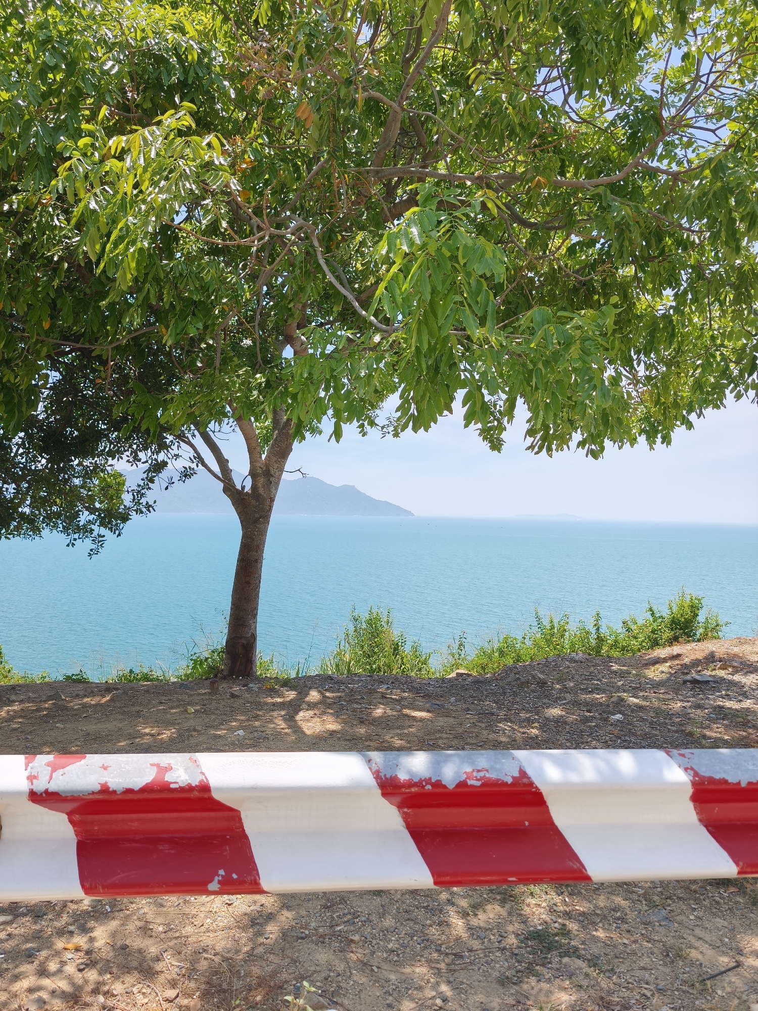 The image depicts a scenic overlook in Bac Nha Trang Ward, Vietnam, featuring a lush green tree in the foreground casting shadows on the ground. Beyond the tree, a tranquil turquoise ocean stretches out to the horizon, meeting a pale blue sky. Distant, hazy mountains are visible across the water. A white and red striped guardrail runs horizontally across the bottom of the frame, partially obscuring the view of the ocean and the ground. The ground itself appears to be a mix of dirt, gravel, and sparse vegetation. The lighting suggests a sunny day with the sun positioned high in the sky. There are no people or animals visible in the image.