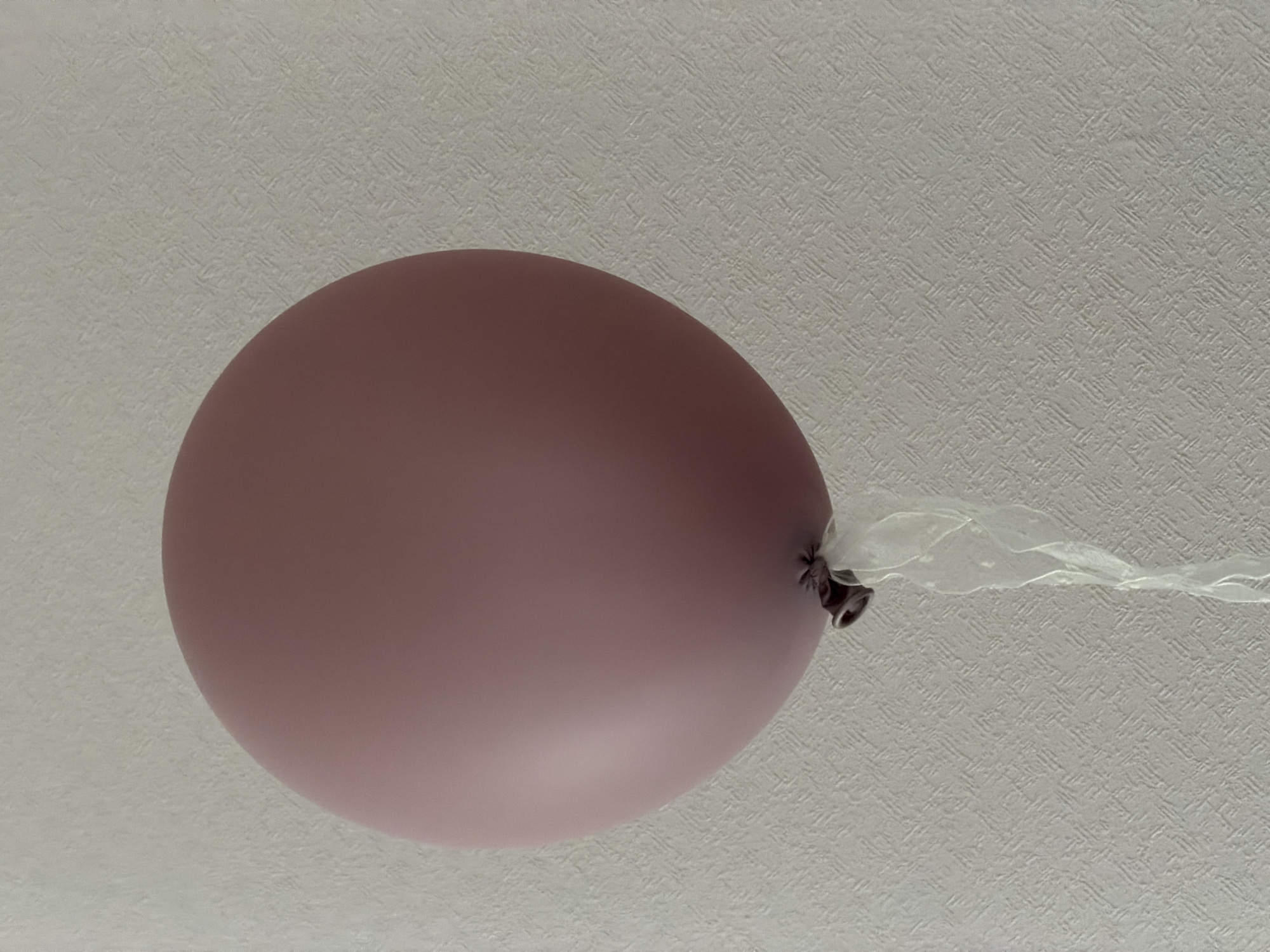 A dusty rose-colored balloon floats against a textured, off-white ceiling. A sheer, white ribbon is tied to the balloon's base. No evidence indicates the location is Moscow, Russia.