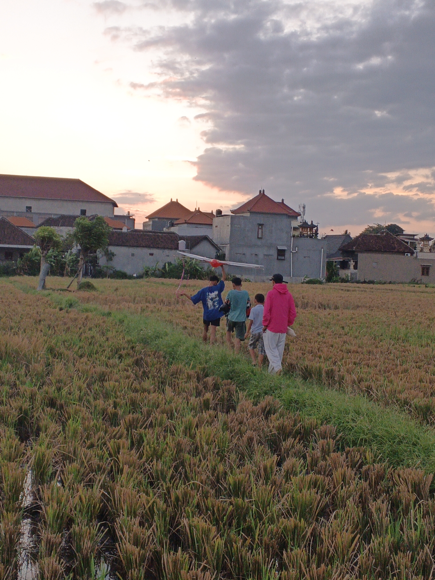 The image depicts a group of four young males walking through a rice field in Sukawati, Indonesia. The sky is overcast with soft pink and grey hues, indicative of either sunrise or sunset. In the background, traditional Balinese architecture with red tiled roofs and concrete buildings are visible. The field itself is filled with harvested rice stalks, suggesting a post-harvest setting, with some patches of green grass. The individuals are walking away from the camera, heading towards the buildings. One boy on the far left is holding a kite or a similar long, flat object. The person on the far right wears a bright pink hoodie and white pants. The other two boys in the middle are dressed in casual t-shirts and shorts. The overall scene conveys a sense of rural life and evening activity.