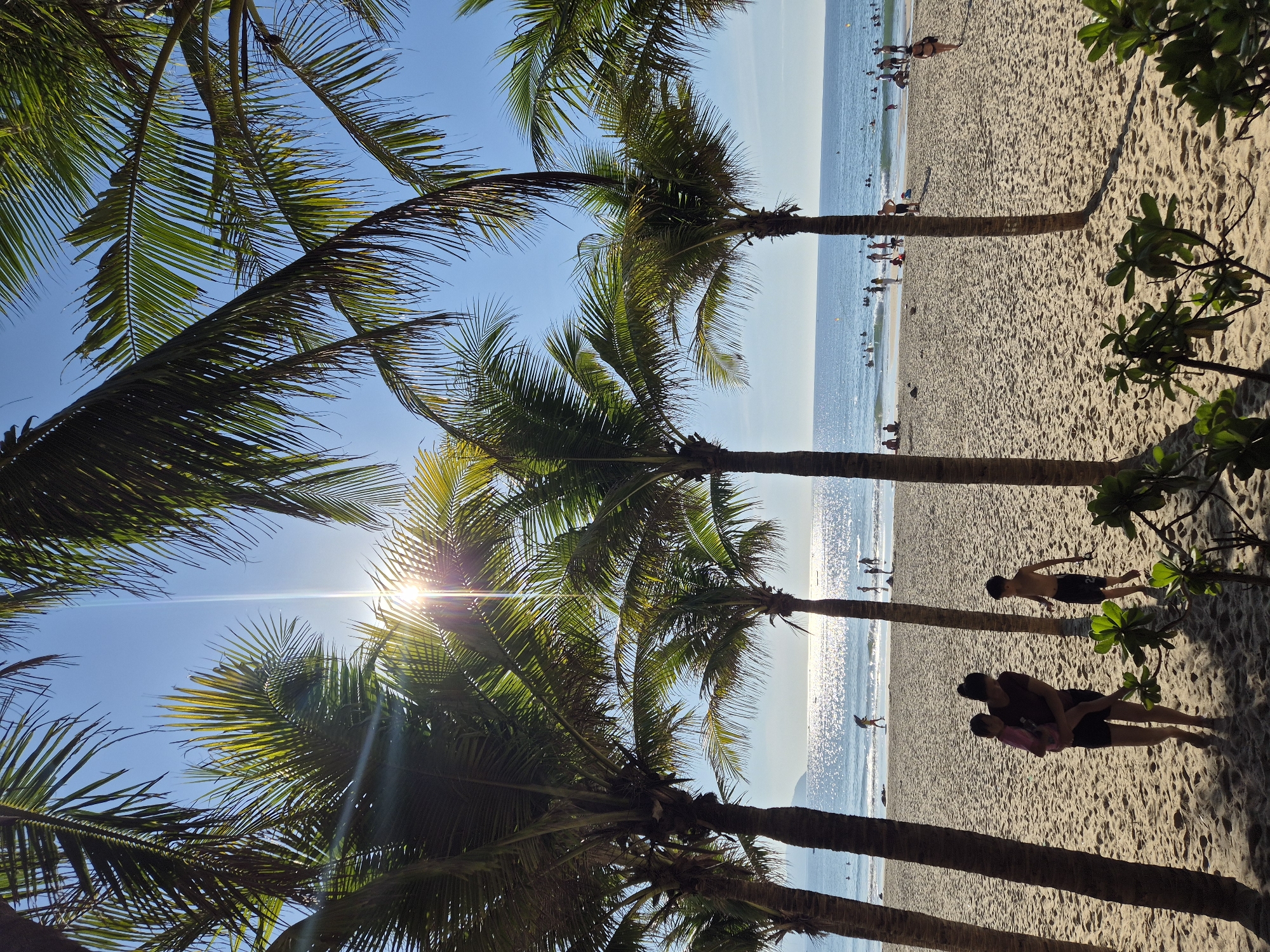 This image depicts a sunny day at a beach in Da Nang, Vietnam, likely My Khe Beach, famous for its expansive sandy shore and clear waters. Several mature palm trees with lush green fronds frame the scene, casting dappled shadows on the golden sand. The sun shines brightly in the clear blue sky, creating a sparkling reflection on the gentle waves of the ocean.
In the foreground, a woman is seen carrying a young child while walking across the sand, accompanied by another young boy. The beach is dotted with various people enjoying the seaside, with some wading in the shallow water and others relaxing on the shore. The atmosphere is serene and idyllic, capturing the essence of a tropical beach vacation. The presence of palm trees and the general ambiance strongly suggest a location in Da Nang, Vietnam, a popular tourist destination known for its beautiful beaches and vibrant coastal scenery.