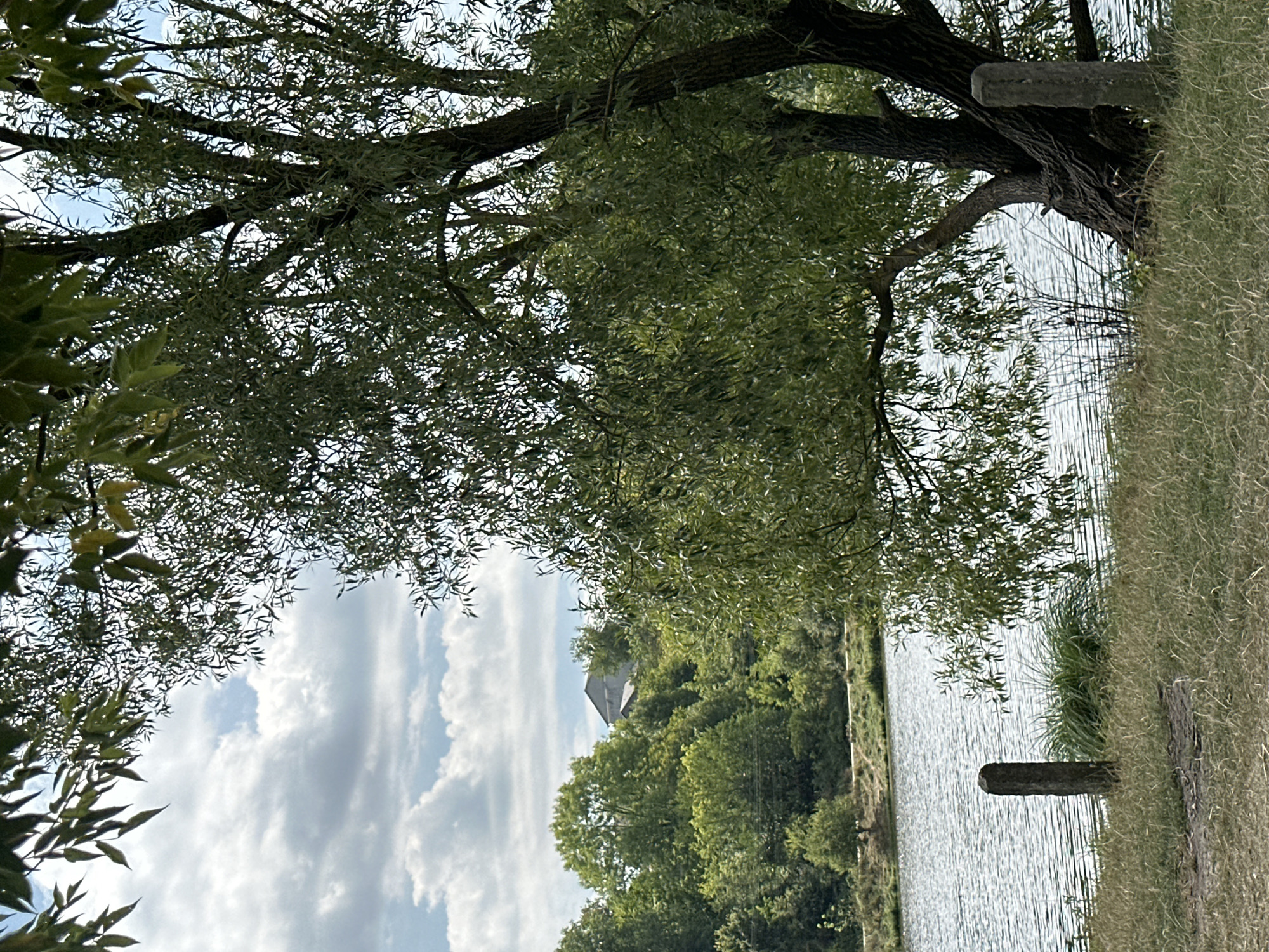 A scenic view of a body of water, likely a river or lake, is depicted on a cloudy day. The foreground features dry grass and two weathered stone posts. A large tree with dense green foliage dominates the right side of the frame, its branches extending over the water. In the background, a verdant hillside is covered with various trees, and two buildings with pitched roofs are visible among them. The overall atmosphere is tranquil and natural. The image may be located in Makiv, Ukraine.