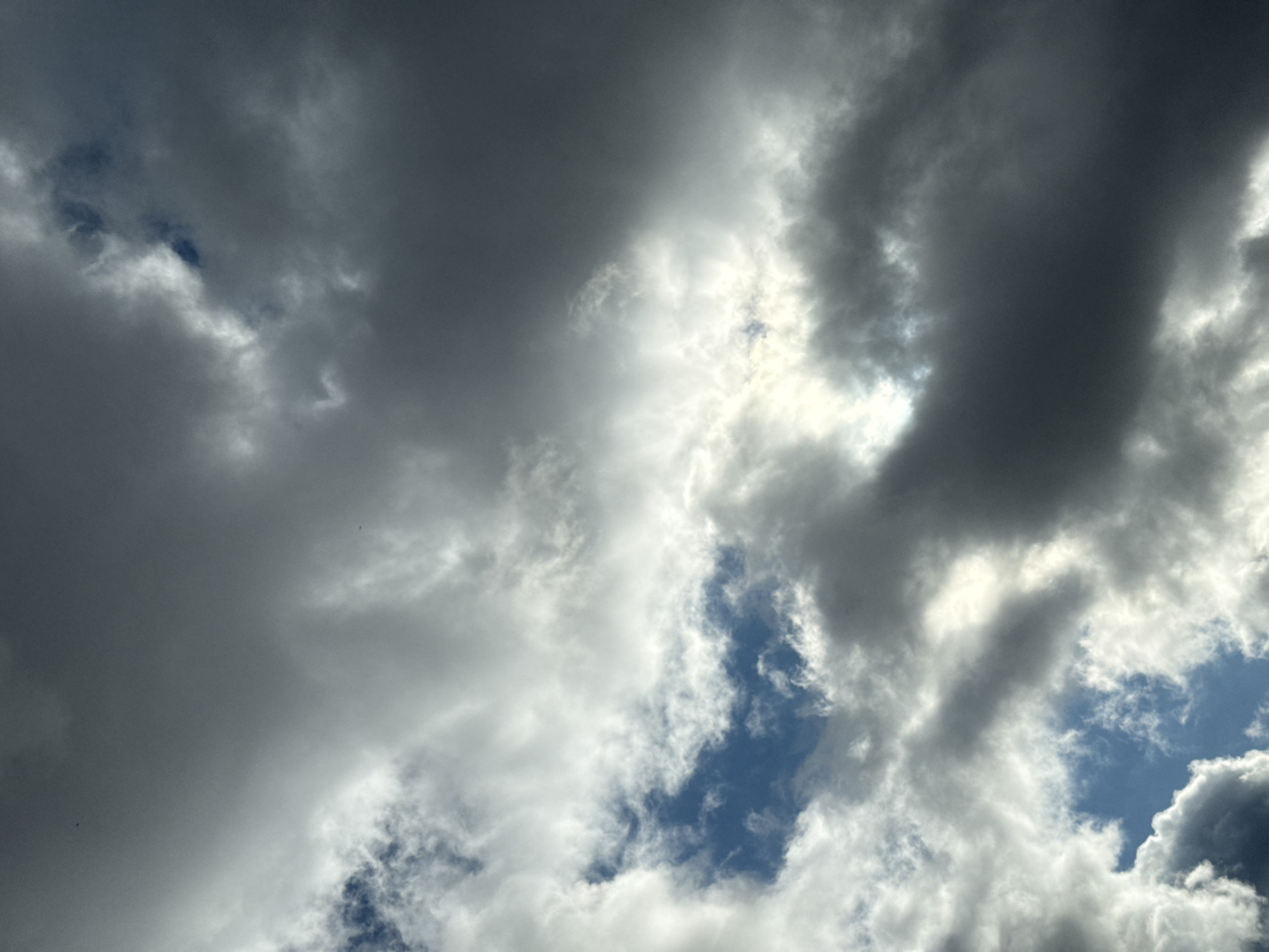 The image captures a dramatic, cloudy sky over Chaikovsky, Russia, during the daytime. The scene is dominated by a dense array of clouds, exhibiting a range of tones from dark, ominous grey to brilliant, luminous white. Sunlight is visible breaking through and illuminating various sections of the clouds, creating bright highlights and a sense of depth.
Several patches of deep blue sky are visible through breaks in the cloud cover, particularly in the lower right and central-left areas, contrasting with the prevailing grey and white. Some clouds appear wispy and ethereal, while others are thick and heavy, suggesting a dynamic weather pattern. The overall impression is one of a partly cloudy or overcast sky, with the sun struggling to shine through the dense cloud formations. There are no visible people, man-made objects, or discernible text in the photograph. The atmosphere is neutral, characterized by the natural interplay of light and shadow in the sky.