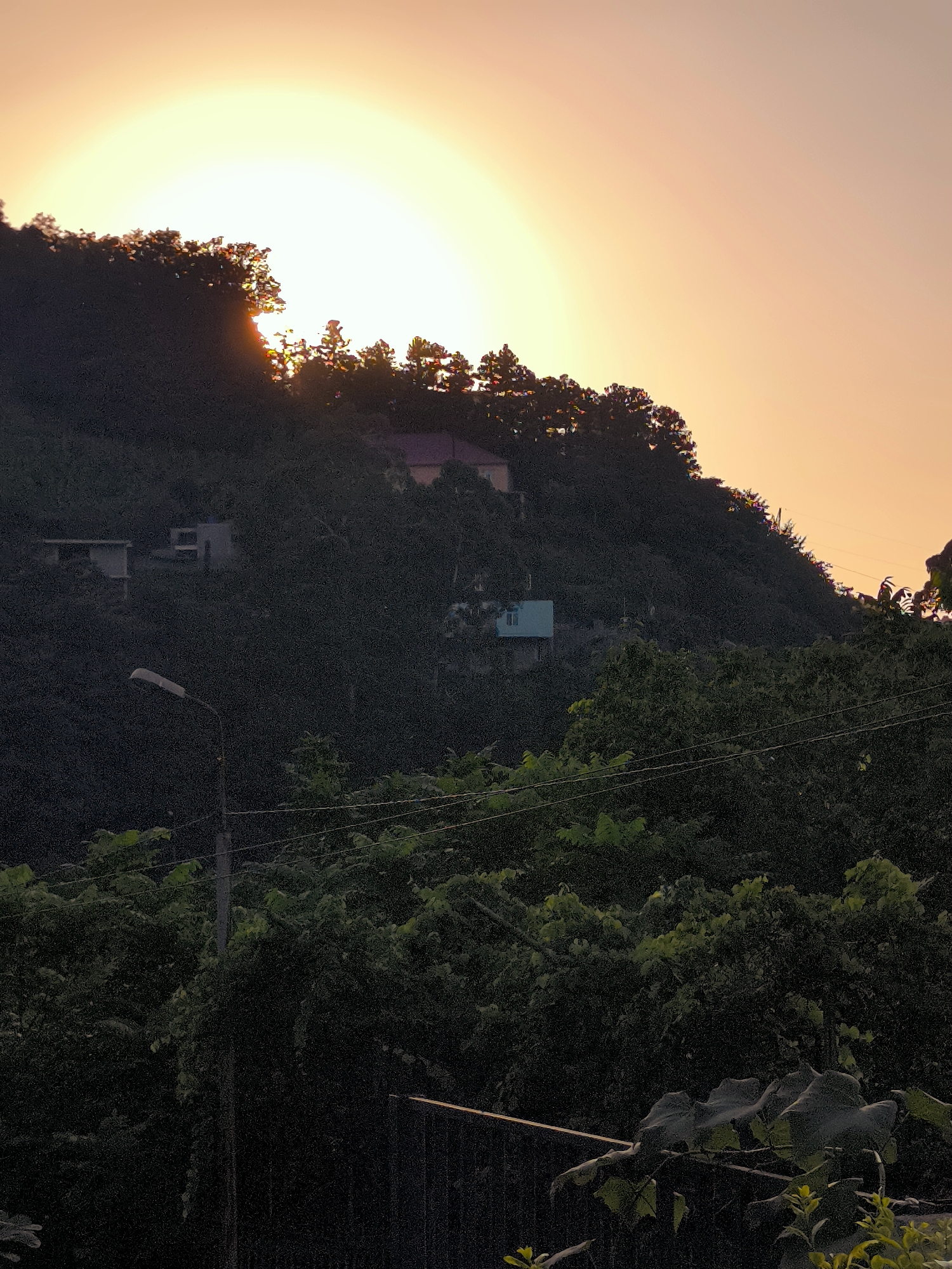 The image captures a hillside at sunset, with the sun's bright orb partially obscured by the dark silhouette of trees at the crest. The sky transitions from a bright yellow-white near the sun to a soft orange and then pale pink towards the top. Several structures are visible on the hillside, including a building with a red roof and two smaller white buildings. A light blue house with white trim is nestled further down. In the foreground, a dense canopy of dark green foliage dominates the lower half of the frame, with a street lamp and power lines visible on the left. The overall scene suggests a rural or semi-rural setting.