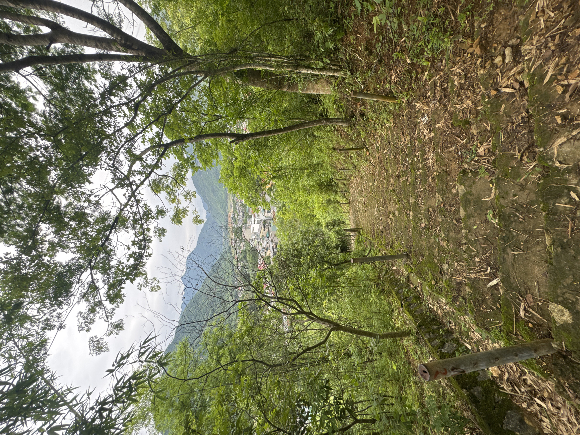 A downward sloping stone path, lined with wooden posts, winds through a lush green forest. The path is covered with fallen leaves and debris. In the distance, a city with white buildings is nestled among rolling hills. The sky is overcast. The scene appears to be located in Xóm Khán, Vietnam.
