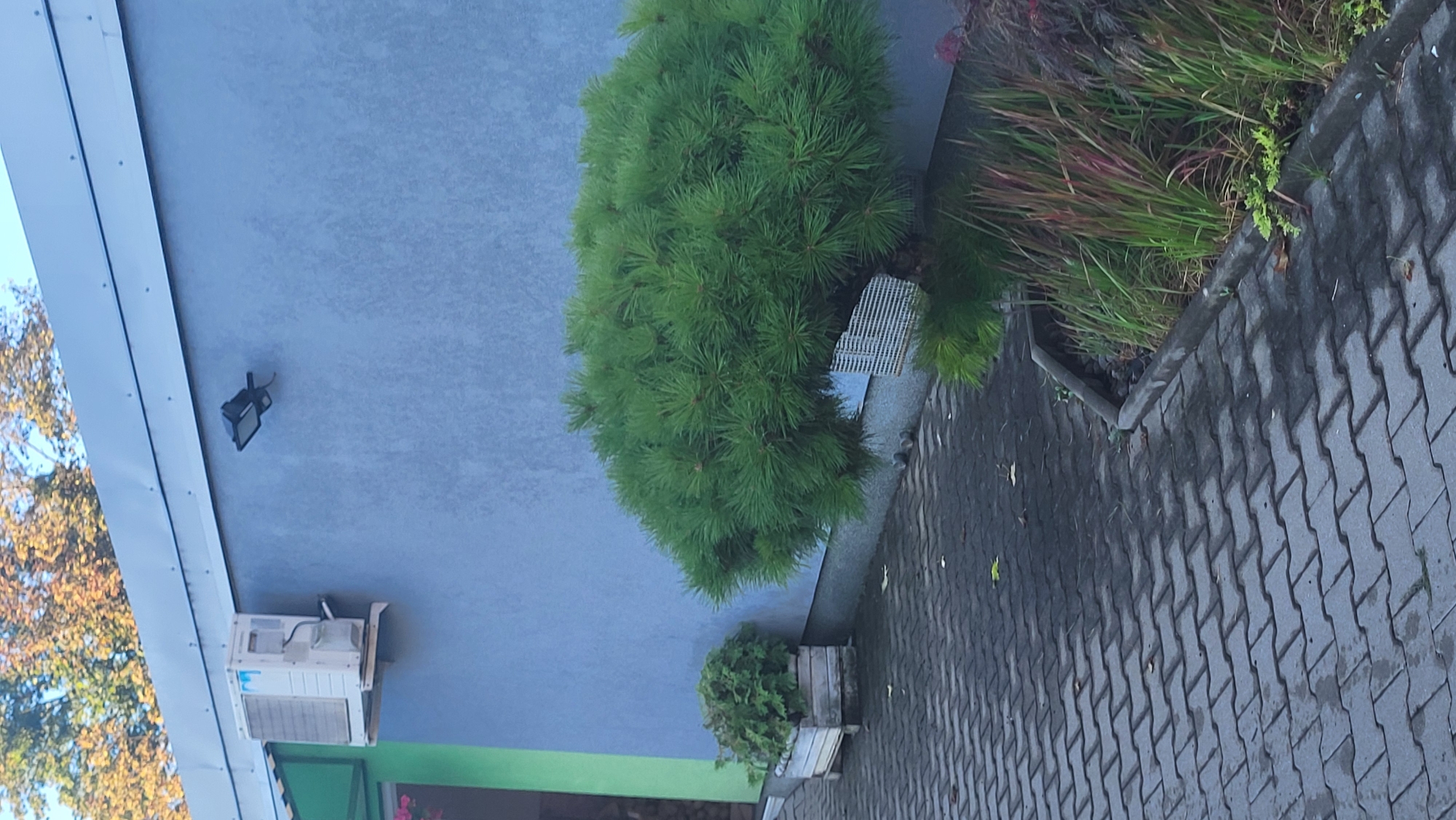 An outdoor scene in Prešov, Slovakia, features a light blue building with a silver roofline. Mounted on the building's wall is a white air conditioning unit and a black floodlight. To the left of the building, a green wall is visible. In front of the building, a paved walkway made of interlocking gray concrete blocks leads toward the viewer. To the left of the walkway is a wooden planter box containing green foliage. A well-maintained, dense green pine tree is positioned on the right side of the walkway, adjacent to a flower bed with tall, thin grasses and some darker foliage. The ground is mostly clear, with a few fallen leaves scattered on the pavement. The sky above is a pale blue, and the tops of trees with autumn foliage are visible against it.
