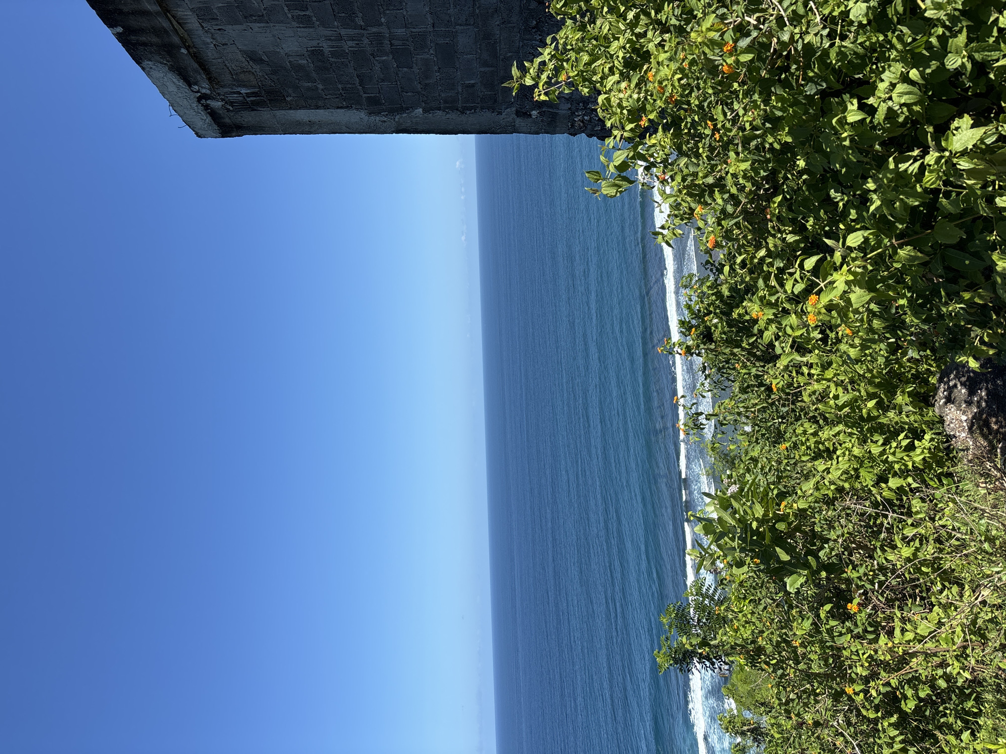 From a high vantage point, a view overlooking the ocean is captured. The photo is dominated by blue hues, with the clear sky on the left transitioning into the deep blue of the ocean. The horizon line is distinct, separating the sky from the sea. On the right side of the frame, dense green foliage with small orange flowers grows on the cliff edge. The foliage is thick, obscuring the ground beneath. A small section of a grey, weathered concrete structure appears in the top left corner of the image. The waves meet the shore in a white froth, which is seen towards the bottom right. The image's location is Kuta Selatan, Indonesia.
