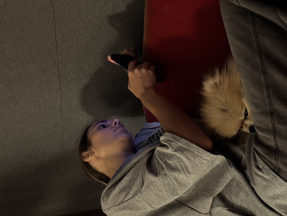 The image depicts an indoor scene with a female individual and a dog. The female, with light brown hair pulled back, is seated, viewed from the upper torso, facing towards the right side of the frame. She wears a gray short-sleeved t-shirt and gray sweatpants. Her head is tilted downwards, and her gaze is fixed on a black smartphone held in both hands, suggesting active engagement with the device. A blue light emanates from the phone screen, illuminating a portion of her face.
Resting on her lap, between her legs, is a small, fluffy, light brown Pomeranian-type dog. The dog's head is partially visible, facing left, with its eyes appearing to be open and looking forward. Its fur is dense and appears well-groomed.
The immediate environment includes a dark red cushioned surface, likely a couch or armchair, which the female is seated on. Behind her is a dark gray textured wall or paneling. The lighting in the scene is dim, with shadows cast on the gray wall by the subjects.
The exact location within the city of Warsaw, Poland, is not identifiable from the visual information provided in the image. The scene appears to be a private or semi-private interior setting.