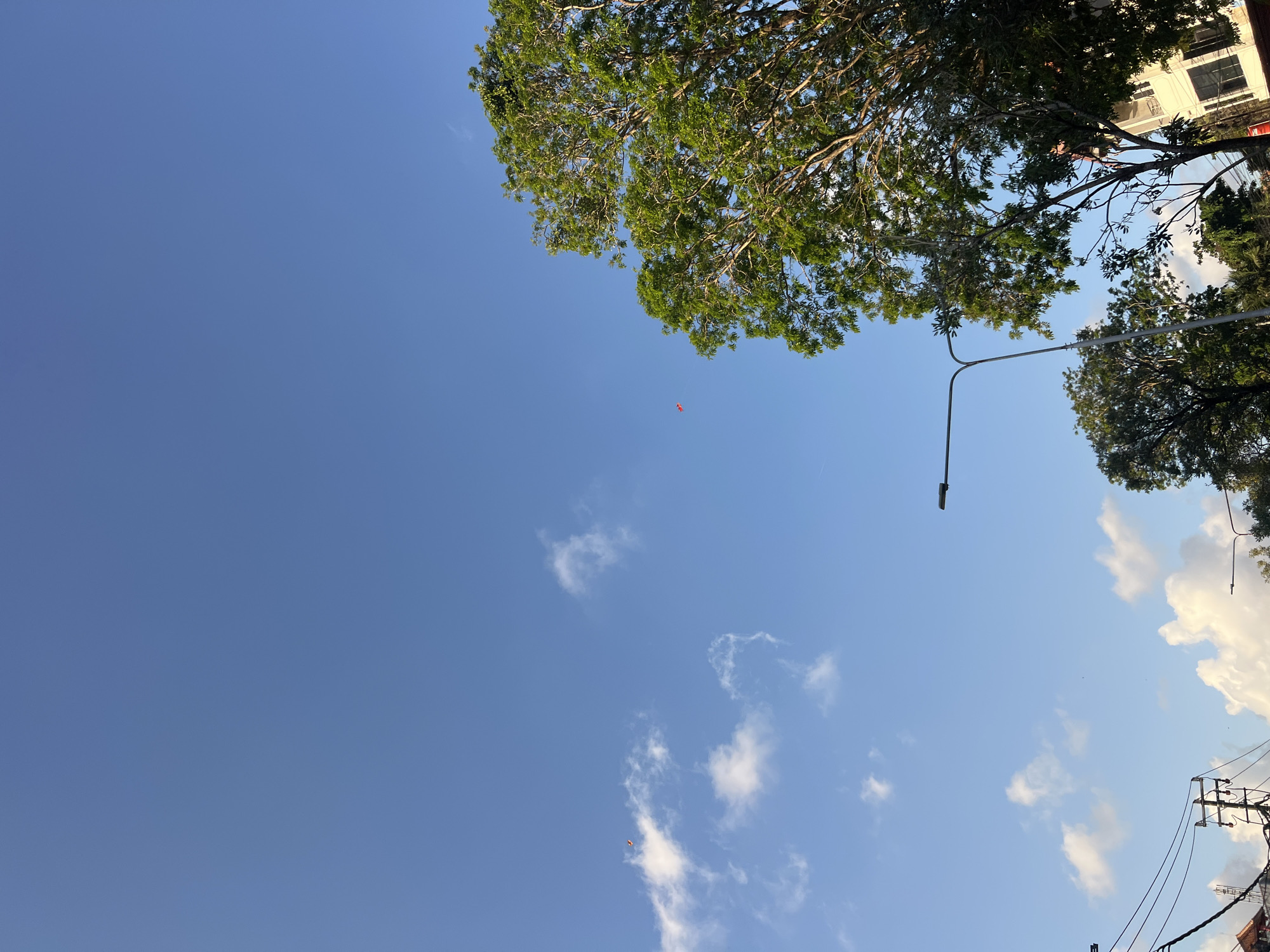 The image depicts a clear blue sky with a few scattered white clouds over the city of Denpasar, Indonesia. In the foreground, a large, leafy green tree dominates the right side of the frame, its branches reaching upwards. To the left, power lines and utility poles are visible, suggesting an urban setting. In the distance, a few buildings can be seen. Two small, red kites are flying in the sky, one in the mid-left and another further to the right. A street lamp is also visible in the upper right quadrant. The overall impression is of a bright, sunny day in a tropical city.