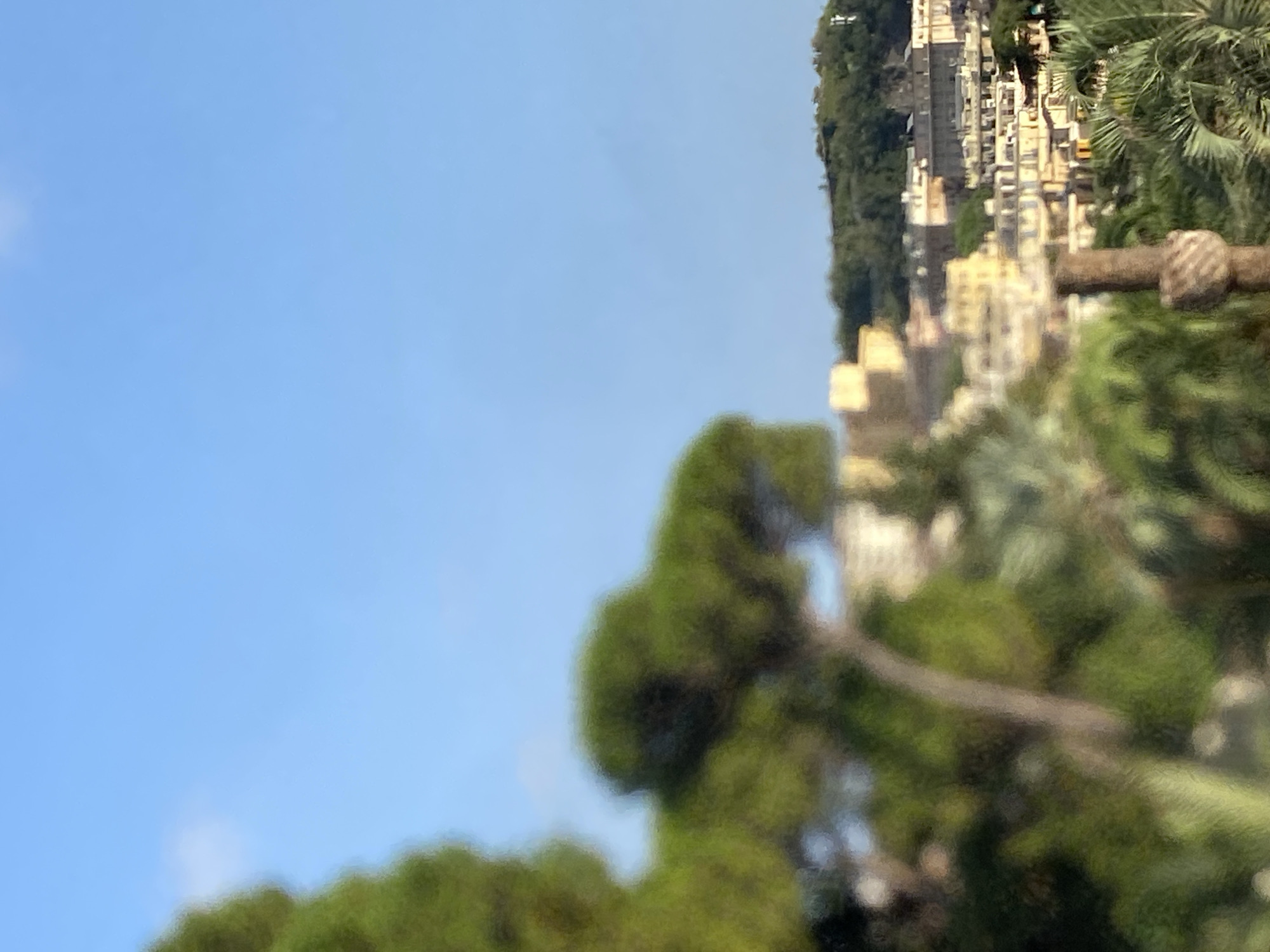 The image shows a blurred view of a cityscape from a vantage point, likely elevated, overlooking Genoa, Italy. In the foreground, out-of-focus green foliage, possibly pine trees and palm fronds, dominates the left and bottom portions of the frame. Beyond the foliage, a cluster of buildings with light-colored facades, appearing to be part of a dense urban area, stretches across the mid-ground and into the background. These buildings feature a variety of architectural styles, with multiple windows and balconies visible. Some buildings are taller than others, creating a stepped effect as they ascend a gentle slope. The background consists of a green, tree-covered hillside with a few structures or possibly monuments visible at the top. The sky above is a clear, bright blue, with a hint of a faint white cloud on the left side. The overall impression is that of a sunny day in an Italian coastal city.