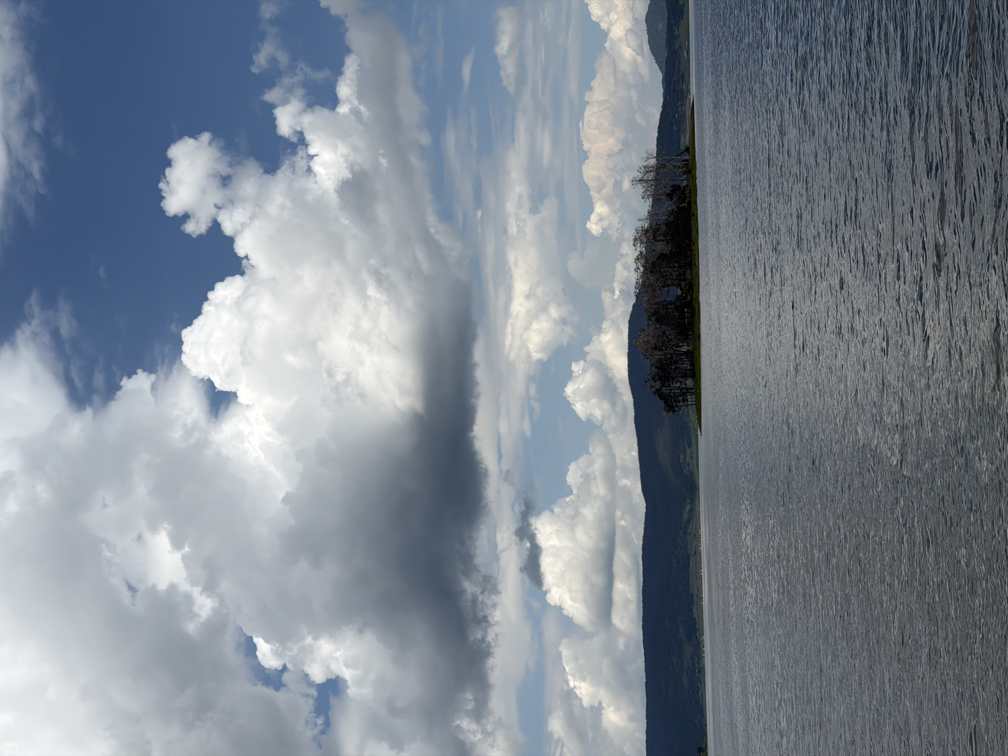 The image depicts a panoramic landscape in Цигов чарк, Bulgaria, featuring a large body of water, a tree-covered island, and distant mountains under a dynamic sky.
The upper portion of the image is dominated by an expansive sky filled with numerous large, white cumulus clouds, exhibiting significant volumetric depth and varied shading from bright white to darker grey. Sections of clear, deep blue sky are visible, particularly in the upper right.
In the middle ground, a small, elongated island or peninsula protrudes from the water, densely covered with a cluster of trees. Some trees display dark green foliage, while others, particularly towards the right side of the cluster, appear bare with light, bleached branches. Behind the island, a dark, undulating range of mountains or hills extends across the horizon, appearing densely forested. Faint structures of a human settlement are discernible at the base of these mountains on the left.
The lower half of the image is occupied by the expansive water body, likely the Batak Reservoir. Its surface is characterized by a textured pattern of small, wind-generated ripples, rendering the water a consistent dark grey-blue hue. No human figures, vessels, or distinct man-made structures are present in the foreground or on the water's surface. The scene is illuminated by natural daylight, suggesting mixed weather conditions with both bright intervals and heavy cloud cover.