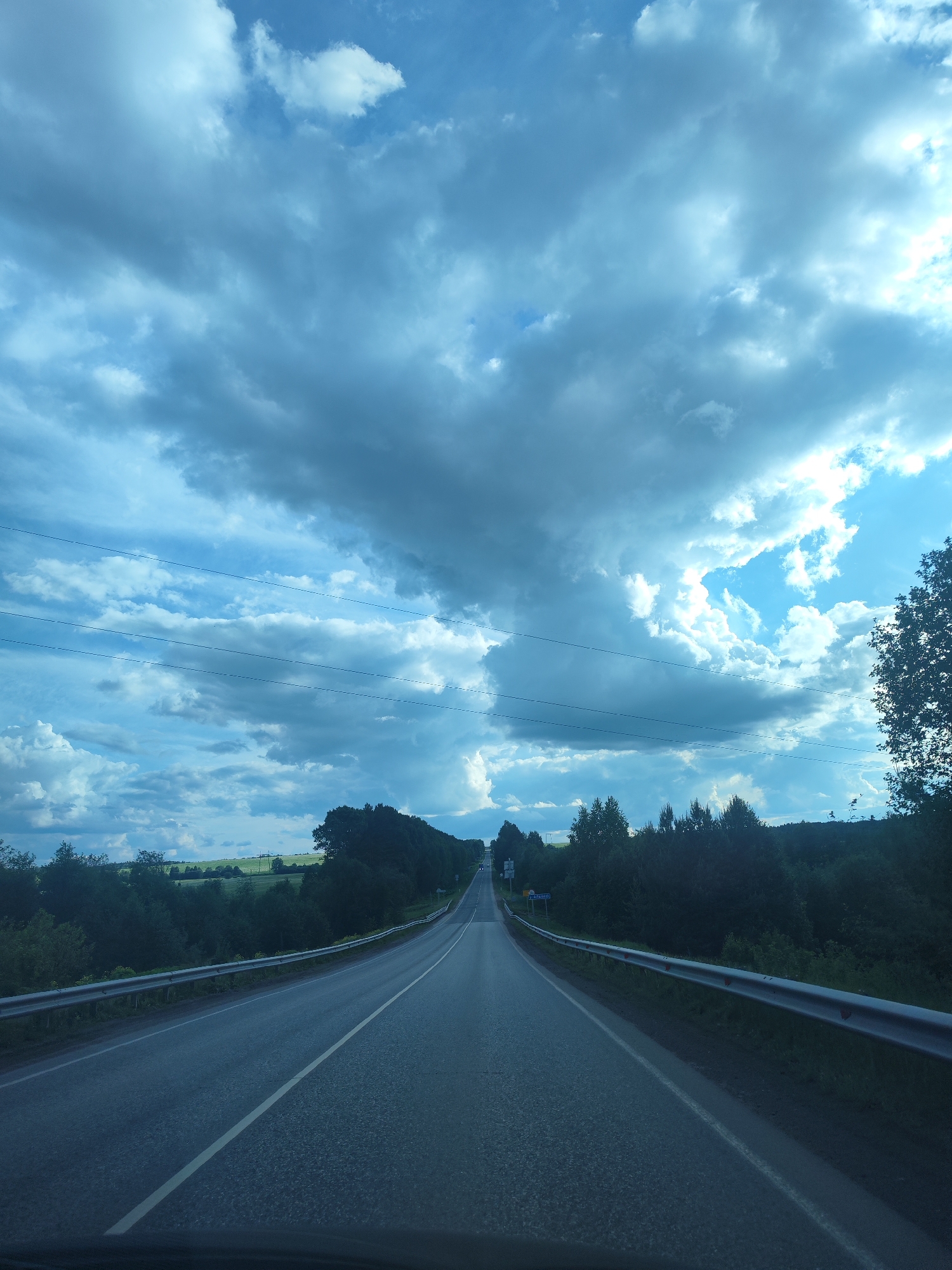 A road stretches into the distance under a cloudy sky. The road has a white dividing line. Guardrails line both sides of the road, with trees beyond. A sign marked with "Альняш" is visible in the distance, indicating the location of Альняш, Russia.