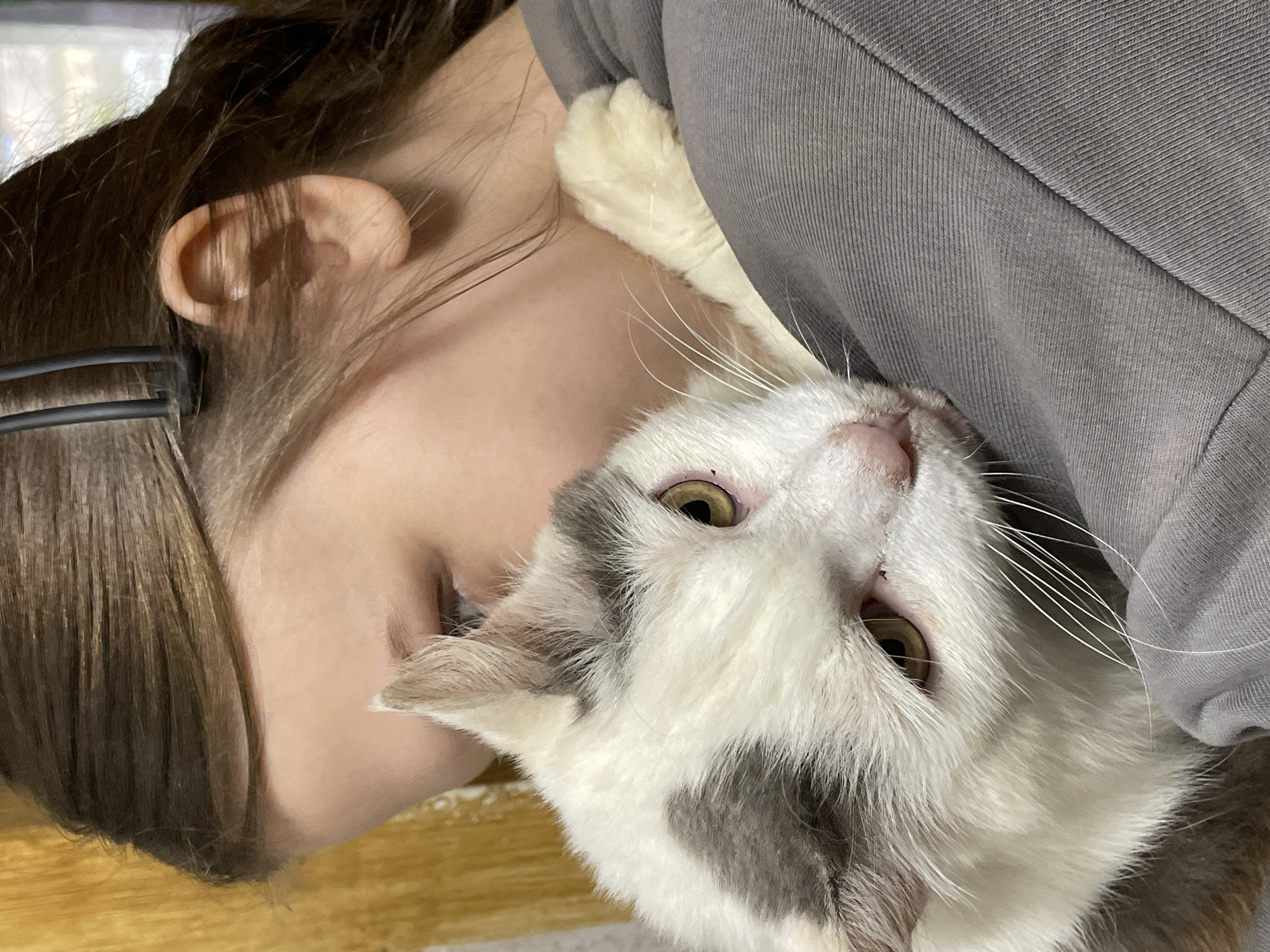 A close-up, diagonal shot captures an intimate moment between a person and a cat in an indoor setting. The left side of the frame features the profile of a young person, showcasing their brown hair, ear, and a portion of their cheek and chin. They are dressed in a grey ribbed garment.
Snuggled closely against the person's shoulder and neck is a cat with white fur marked by distinctive grey/brown patches. The cat's head is tilted upwards, presenting its face and piercing golden-green eyes directly to the viewer. Its long, white whiskers are prominent, and a white front paw is gently resting on the person's grey clothing.
The overall scene conveys a strong sense of affection and companionship. The cat appears calm and content, suggesting a moment of peaceful cuddling or rest with its owner. The background is softly blurred, showing muted tones, possibly including a wooden surface at the bottom left. The image is devoid of any visible text. The context places this scene in Фоки, Russia.