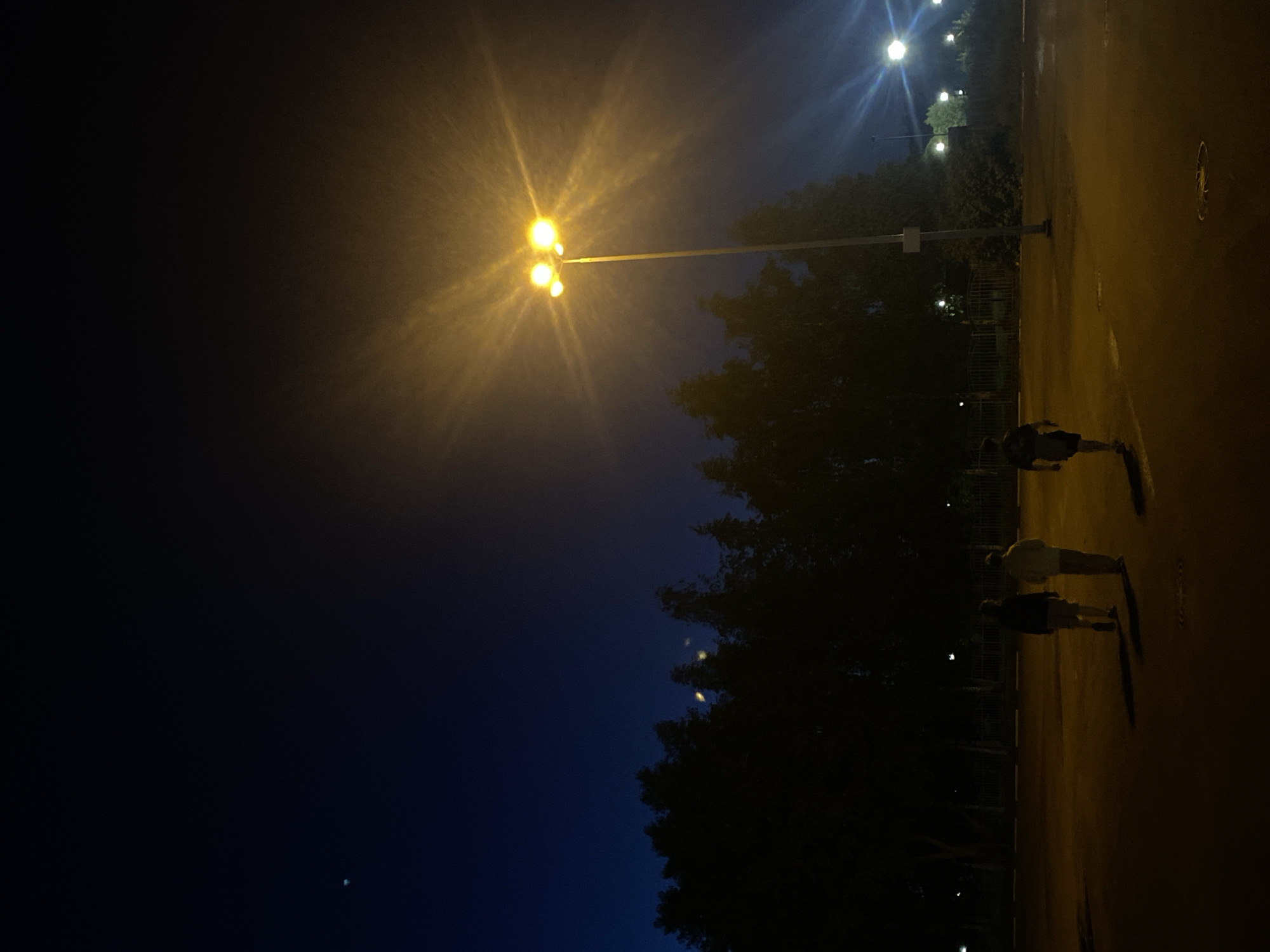 The image depicts an outdoor night scene, possibly in an urban or suburban area, viewed from a slightly elevated perspective looking down a street or pathway. The sky, dark blue to black, occupies the upper portion of the frame.
A prominent streetlight with multiple yellow-orange bulbs stands out in the upper-left, emitting strong, radiating light rays that illuminate the surrounding atmosphere. Several other streetlights are visible, some with a cooler white-blue hue, scattered through the scene and in the distance. Below the main streetlight, a dense line of dark trees stretches across the middle of the image, obscuring much of the background but revealing glimpses of a fence line and more distant lights.
On the paved ground to the right and bottom, three individuals are visible. They appear as dark silhouettes against the light cast by the streetlights, walking or standing. Their long shadows stretch behind them. The ground itself is a yellowish-brown, reflecting the artificial light. A faint, tiny white speck, possibly a star or distant planet, is discernible in the dark sky in the far upper-left corner. No specific activity beyond walking or standing is evident. The overall impression is one of a quiet evening. There is no visible text.