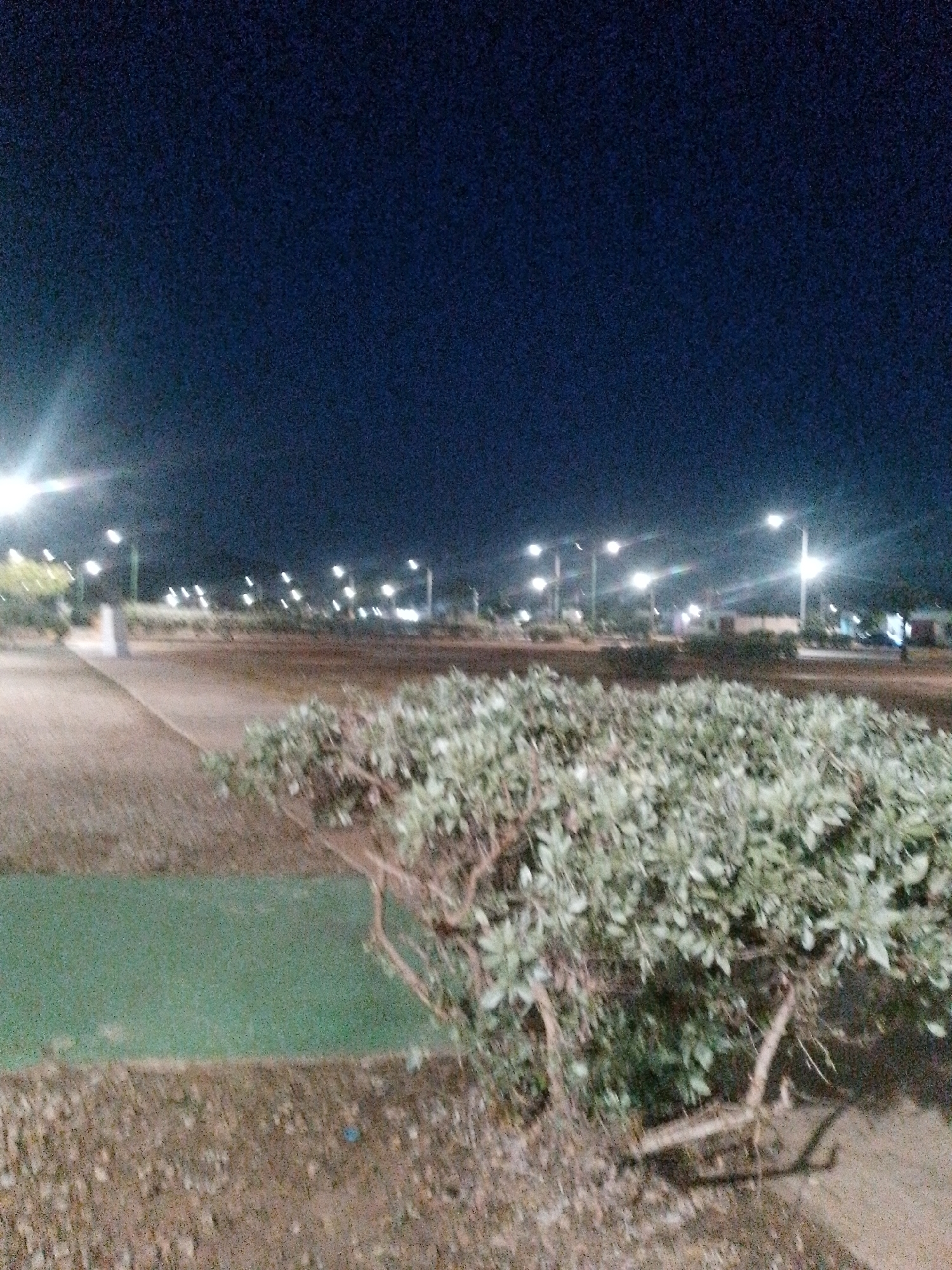 The image depicts a night scene in what appears to be a park or public space in Juan Griego, Venezuela. Several streetlights illuminate the area, casting light across the ground and onto various plants and shrubs. In the foreground, there's a bush with dense foliage. The ground is covered with what seems to be gravel or small rocks, interspersed with patches of green, possibly grass. The background shows more vegetation and what looks like the outlines of buildings.