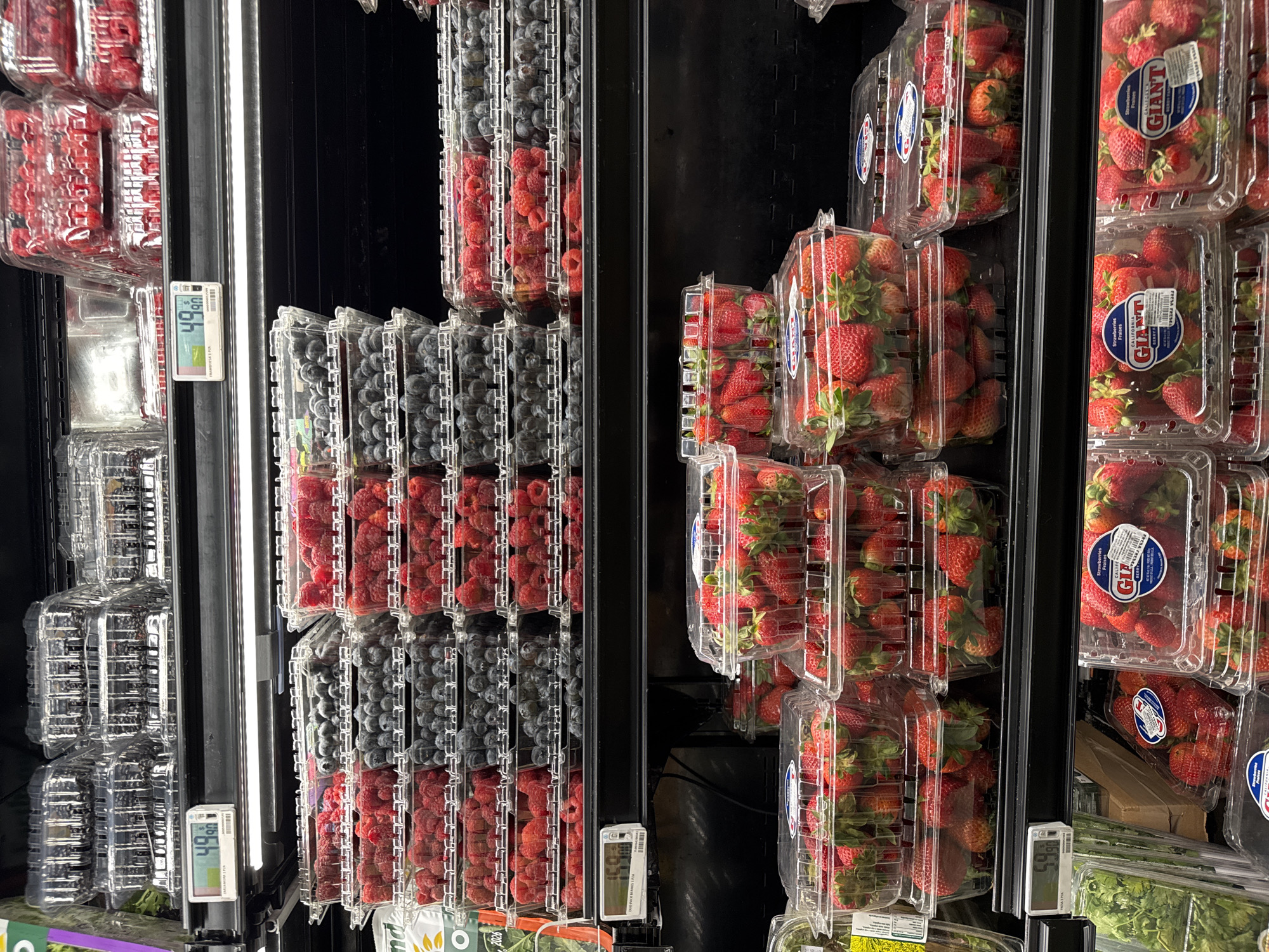 The image shows a refrigerated display case filled with various types of berries in a grocery store. On the left side, raspberries and blueberries are stacked in clear plastic containers. On the right side, strawberries are stacked in similar containers. Price tags are visible on the shelves displaying the prices for the raspberries and blueberries. The strawberries have the "GIANT" brand label on them. The setting is likely a supermarket, and although the location of the city of Puebla, Mexico is mentioned in the prompt, there is no information to support that this image was taken in Puebla.