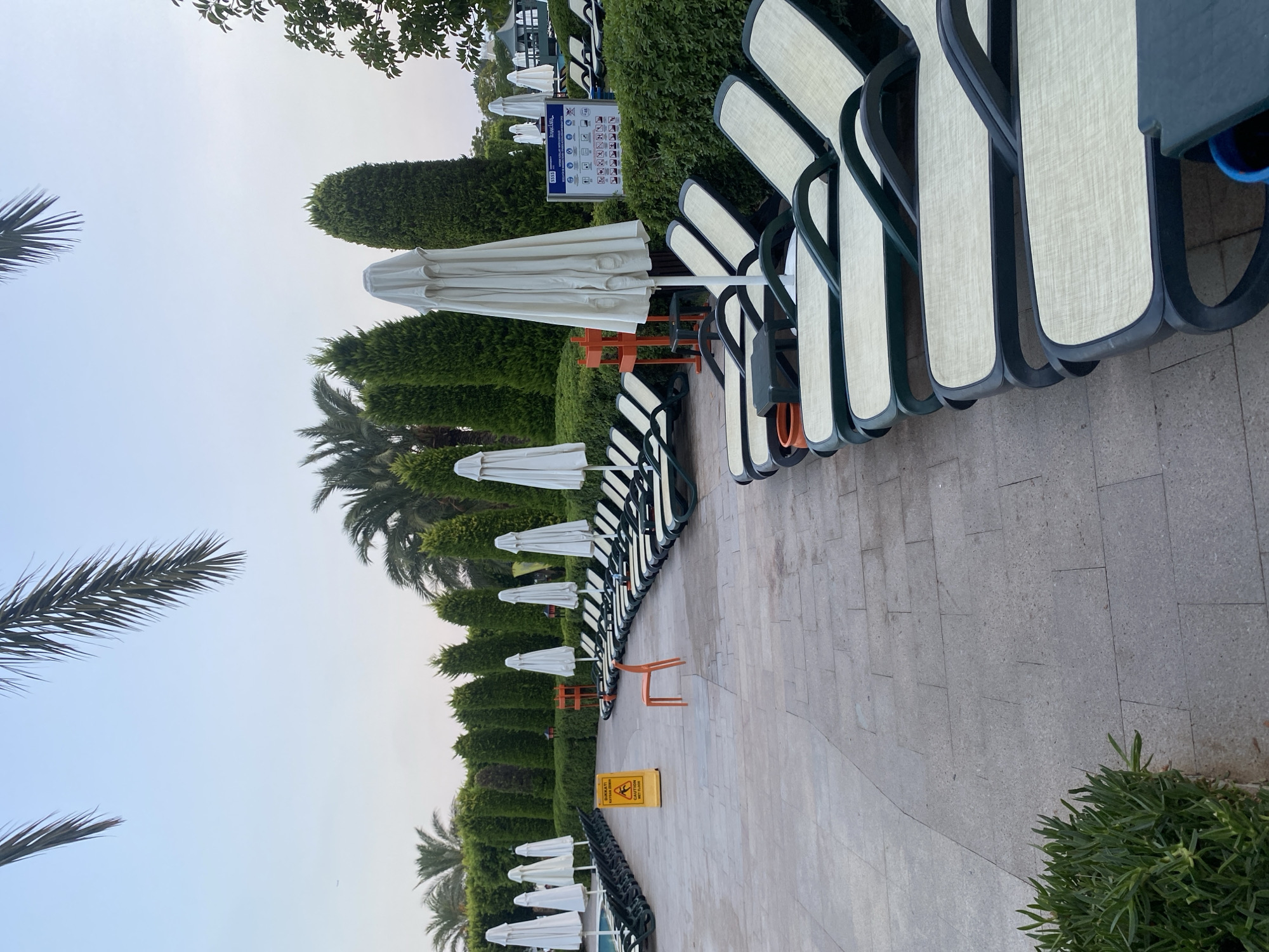 The image shows an outdoor poolside area at a resort in Aksu, Turkey, likely early in the morning or late in the evening, given the soft lighting. The scene is dominated by rows of empty, neatly arranged lounge chairs and closed, white umbrellas, suggesting the area is not yet in active use or has been prepared for the night. A bright yellow "caution wet floor" sign stands near the center of the image, indicating recent or potential wetness on the tiled ground. An orange plastic chair is positioned unusually in the middle of one of the rows of lounge chairs, possibly left out of place. Behind the lounge chairs, a well-maintained hedge forms a green backdrop, with tall, conical evergreen trees and palm trees visible further back. A blue bin is partially visible in the lower right corner. The sky is a pale blue, with the silhouette of palm fronds from trees framing the top of the image. In the distance, a building with a white roof and a hint of greenery suggests the resort's architecture. The overall atmosphere is one of quiet order and anticipation.