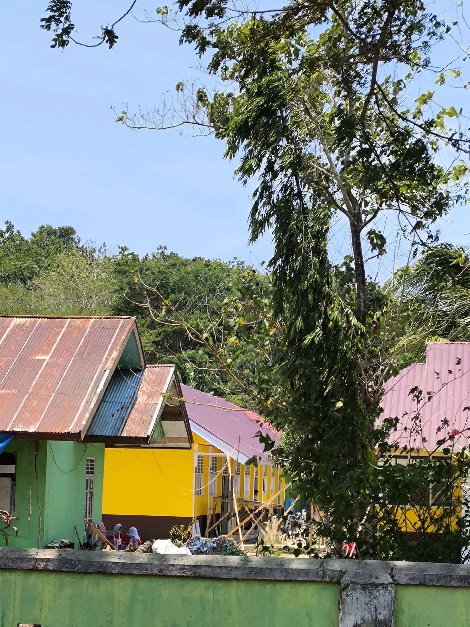The image depicts a scene in a rural area of Indonesia, likely a school or community building. In the foreground, a low green concrete wall runs horizontally across the frame. Behind the wall, a cluster of brightly colored buildings with corrugated metal roofs are visible. The buildings are painted in vibrant green, yellow, and pink, suggesting a tropical or sub-tropical environment. A large tree with lush green foliage dominates the center of the image, partially obscuring the buildings and extending towards the sky. The sky is a clear, pale blue, indicating a sunny day.
In front of the yellow building, several people are seated on the ground, appearing to be engaged in conversation or resting. They are wearing headscarves and traditional clothing, consistent with the local culture. Some scattered objects, possibly building materials or personal belongings, are also present on the ground. The overall impression is of a peaceful, everyday scene in a community setting.