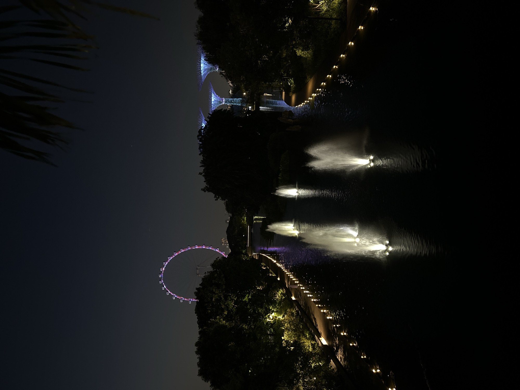 The image depicts a night scene at Gardens by the Bay in Singapore. In the background, the Singapore Flyer, a large Ferris wheel, is illuminated with pink and purple lights. In the middle ground, three Supertrees, iconic vertical gardens, are lit with blue lights. A dark body of water, likely a canal or river, flows through the scene, with several fountains spraying water upwards. The banks of the water are lined with trees and pathway lights. A portion of a palm frond is visible in the upper right corner of the frame. The sky is dark, indicating it is nighttime.