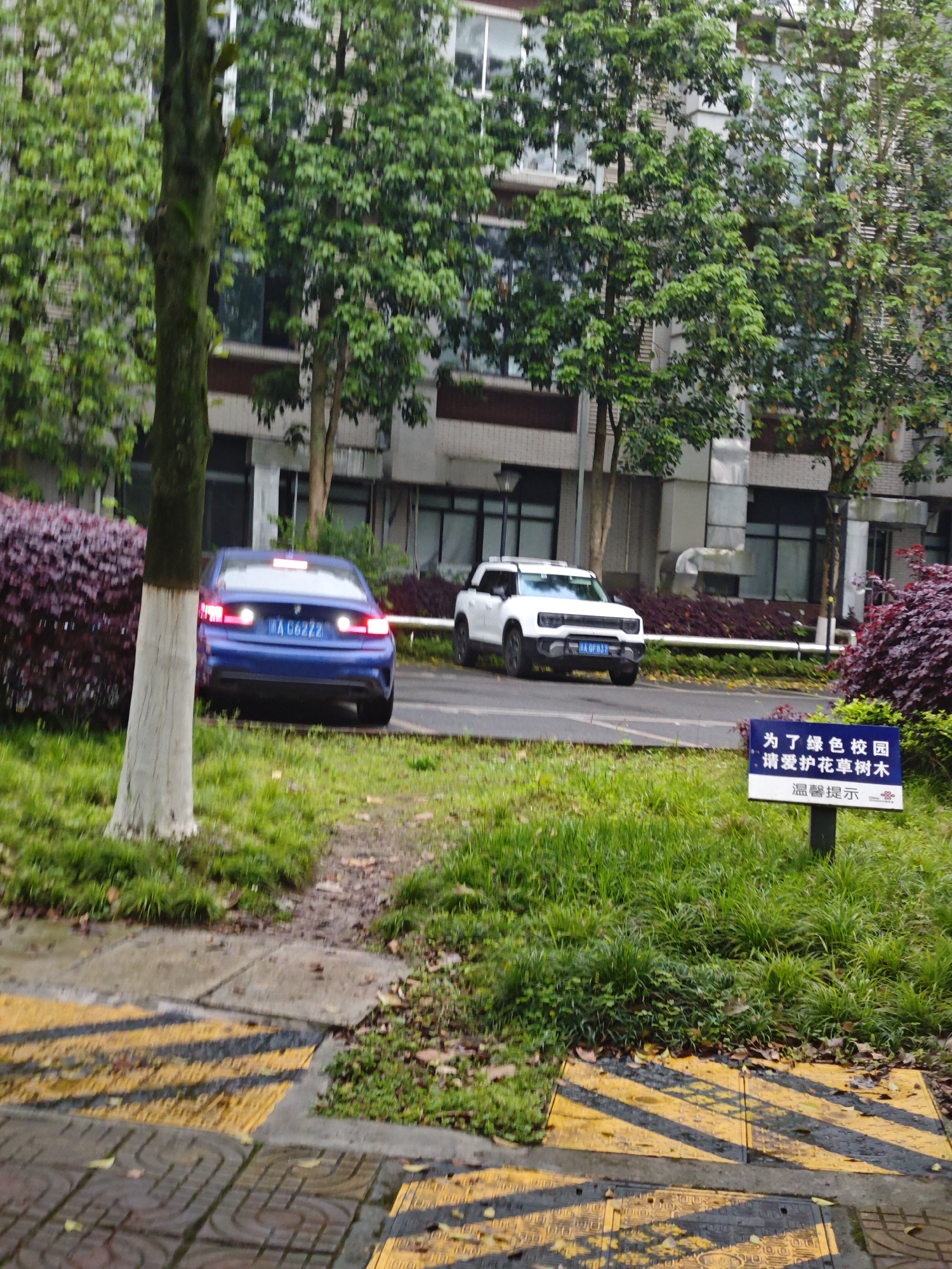 The image shows a scene in Chongqing High-tech Zone, China. In the background is a light-colored building with many windows. In the foreground, a tree trunk is on the left side. Two cars are parked on a paved area in front of the building. A blue BMW with license plate A G6222 is on the left and a white SUV with license plate A 0F833 is to the right. Grass and bushes are growing in the space between the cars and the sidewalk. A sign with Chinese characters on it stands in the grass. Yellow and black striped pavement is in the bottom foreground.