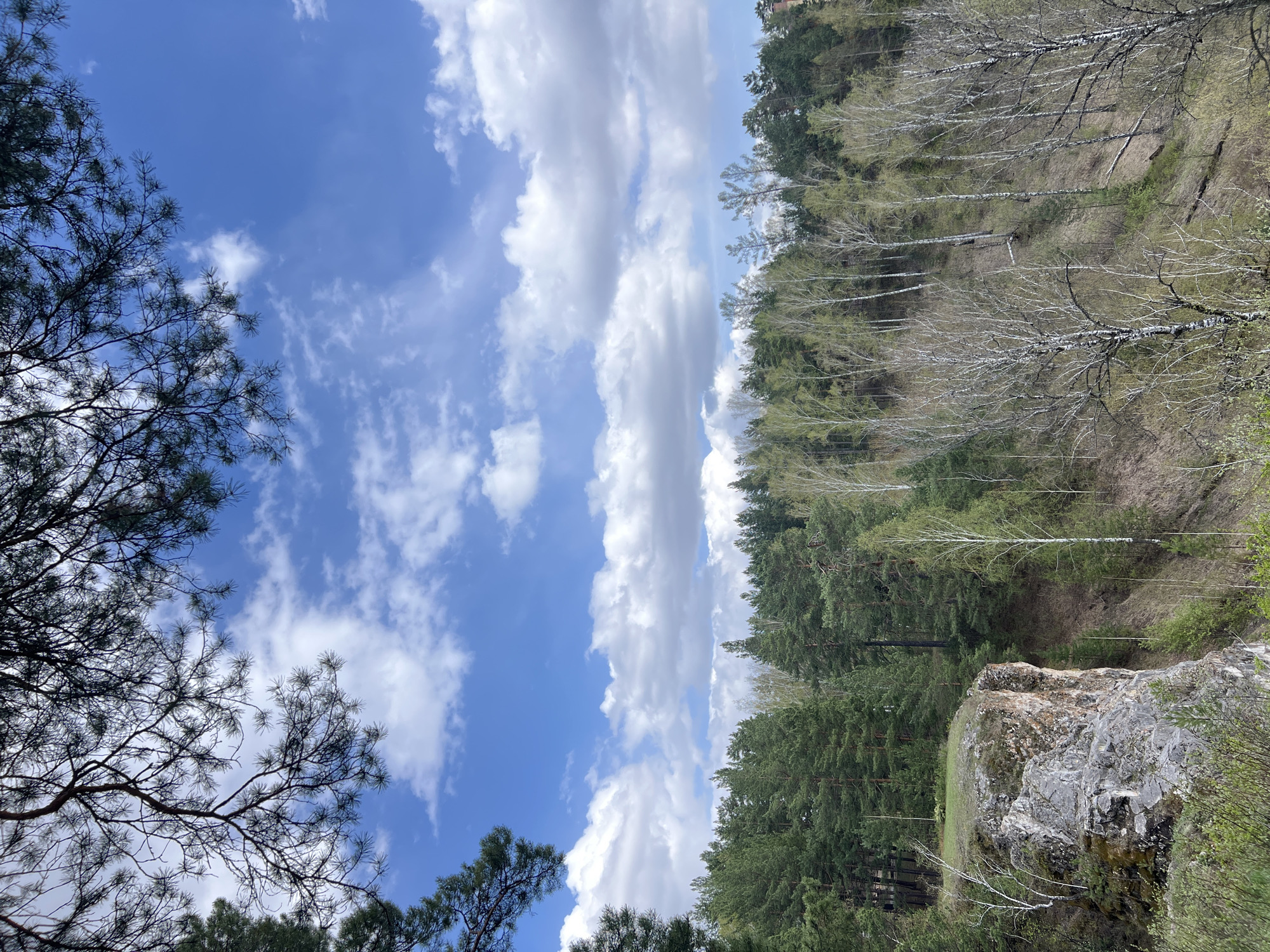 The image depicts a landscape view likely taken in the Stolby Nature Reserve near Krasnoyarsk, Russia.
**Environment:** The scene features a combination of sky and forest. The sky is partially covered with white clouds. The forest consists of a mix of coniferous trees (likely pines) and deciduous trees (possibly birches).
**Objects:**
* **Rocks:** A large rock formation is visible at the bottom right of the image.
* **Trees:** The trees form a dense forest.
**People:** There are no people visible.
**Actions/Interactions:** N/A
**Overall Impression:** The photograph suggests a natural setting, possibly taken from a vantage point within a forest overlooking a cliff or rock formation.