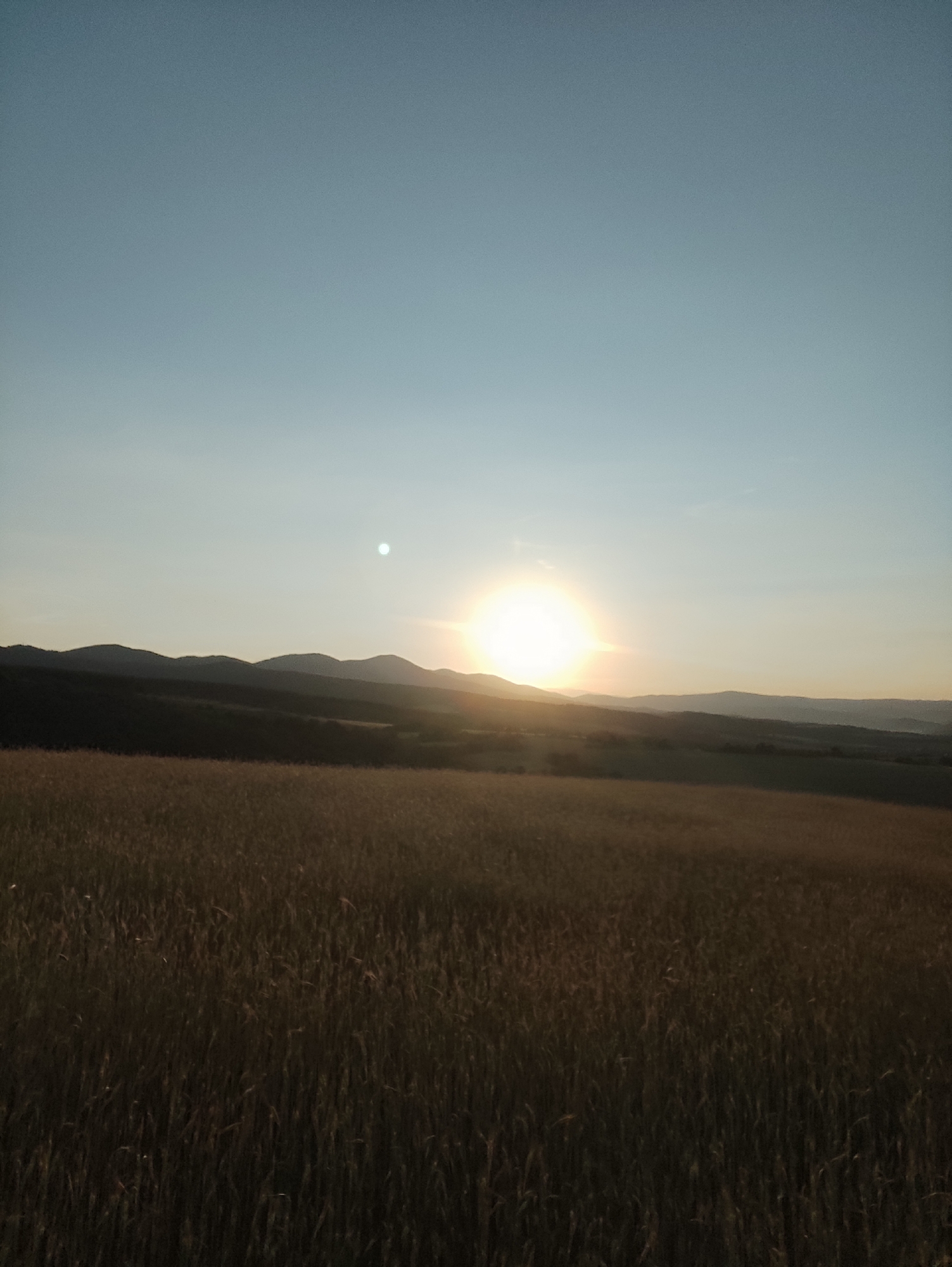 The image depicts a rural landscape at sunset. The foreground is dominated by a field of dry, golden grass or wheat, with tall stalks reaching upwards. In the midground, a gentle slope of darker terrain leads up to a series of rolling hills or mountains that form the horizon. The sky is clear and blue, transitioning to a lighter shade near the horizon. A bright, sun, appears to be setting behind the hills, casting a warm glow and a subtle haze across the scene. A small, white circular object, possibly a faint cloud or reflection, is visible in the sky to the left of the sun. The overall impression is one of tranquility and natural beauty. The location is identified as being in the city of Momin Prohod, Bulgaria.
