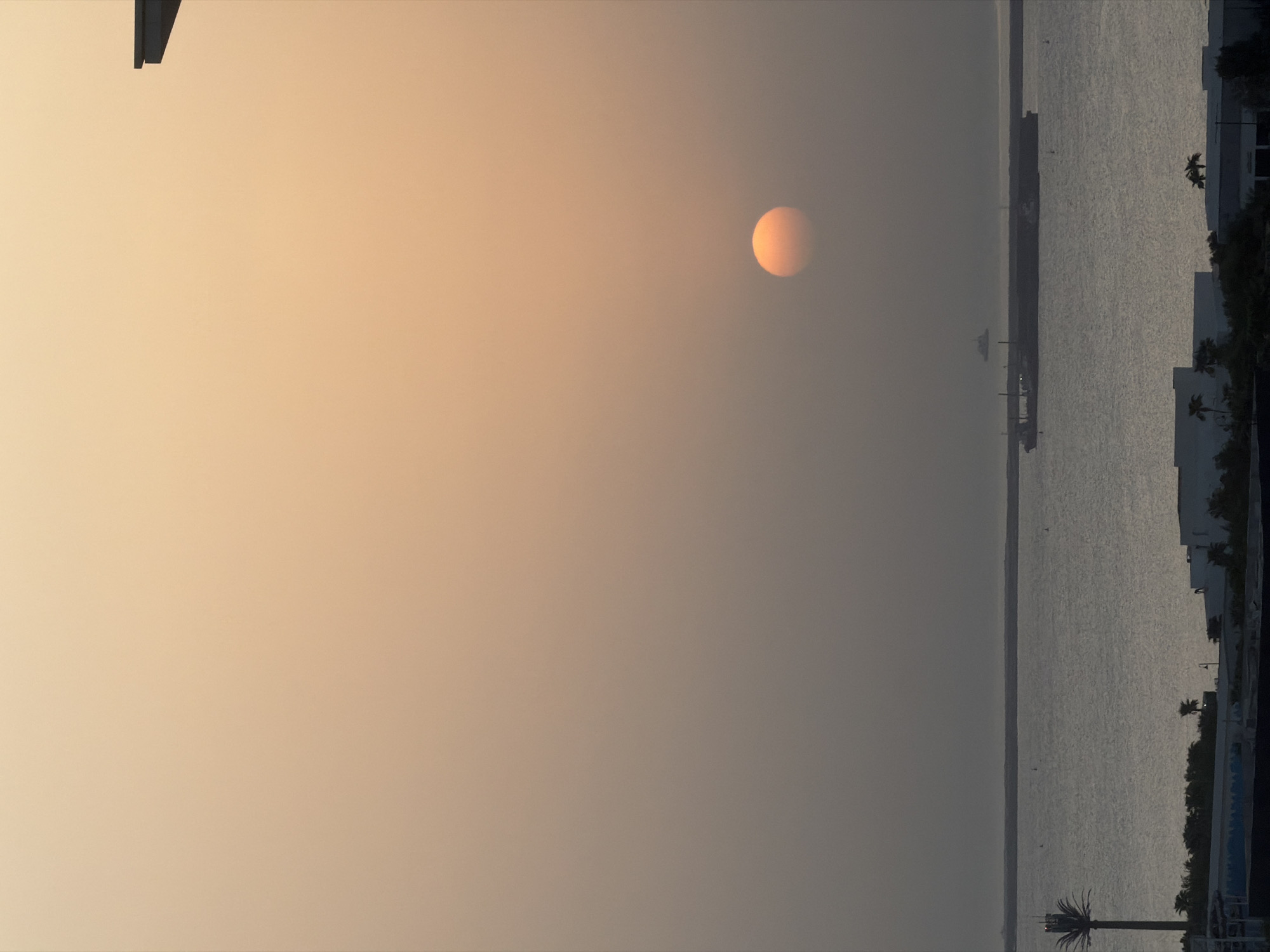 The image depicts a serene sunset over the waters of Lusail, Qatar. The sun, a glowing orange orb, is partially obscured by a hazy sky, casting a warm, diffused light across the scene. In the foreground, the calm waters reflect the muted tones of the sky, with a distant horizon line separating the sea from what appears to be land. A large cargo ship is visible on the water, its silhouette dark against the bright expanse. To the left, a solitary palm tree stands tall, its fronds silhouetted against the sky. The lower portion of the image shows the rooftops of buildings, suggesting an urban landscape bordering the waterfront. The overall atmosphere is one of tranquility and the peaceful end of a day.