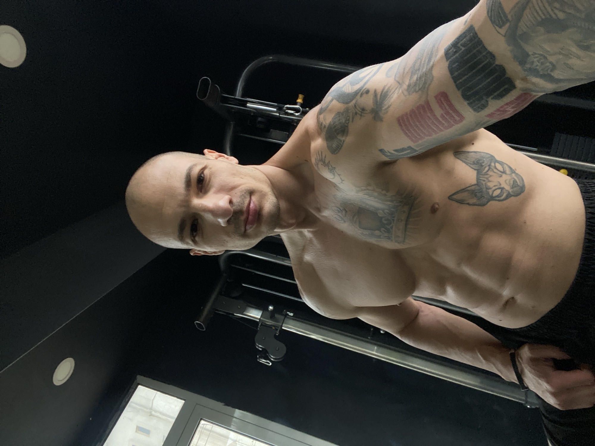 A shirtless, bald man with tattoos on his arms and chest stands in a gym. He looks directly at the camera, holding it at an angle. Gym equipment is visible in the background. A window with a view of buildings is present on the left. The location is Pleven, Bulgaria.
