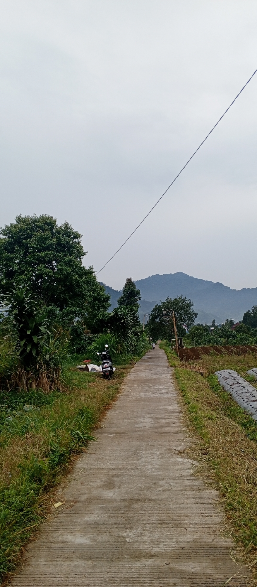 The image shows a paved pathway receding into the distance, flanked by lush green vegetation and trees. In the foreground, a motorcycle is parked on the left side of the path, next to a pile of white material. The pathway appears to be a rural road or a path through agricultural land, with mountains visible in the background under an overcast sky. A thin wire stretches diagonally across the upper portion of the frame. Two figures are visible in the distance walking on the pathway. The scene suggests a tranquil, natural setting in a region likely to be rural or semi-rural. The presence of the motorcycle and pathway indicates human activity and infrastructure within this natural landscape. The overall impression is one of a slightly overcast day in a scenic, green environment.